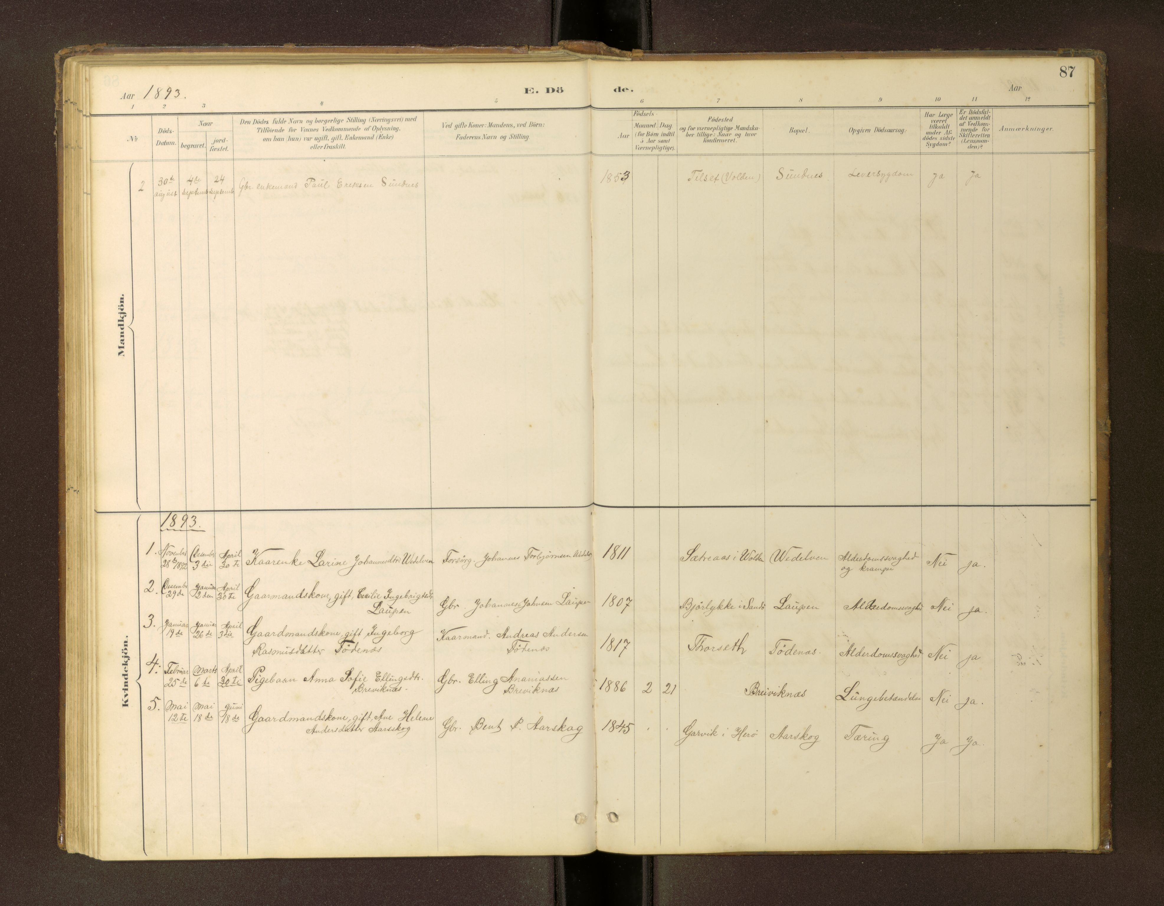 Ministerialprotokoller, klokkerbøker og fødselsregistre - Møre og Romsdal, AV/SAT-A-1454/504/L0060: Parish register (copy) no. 504C02, 1884-1903, p. 87