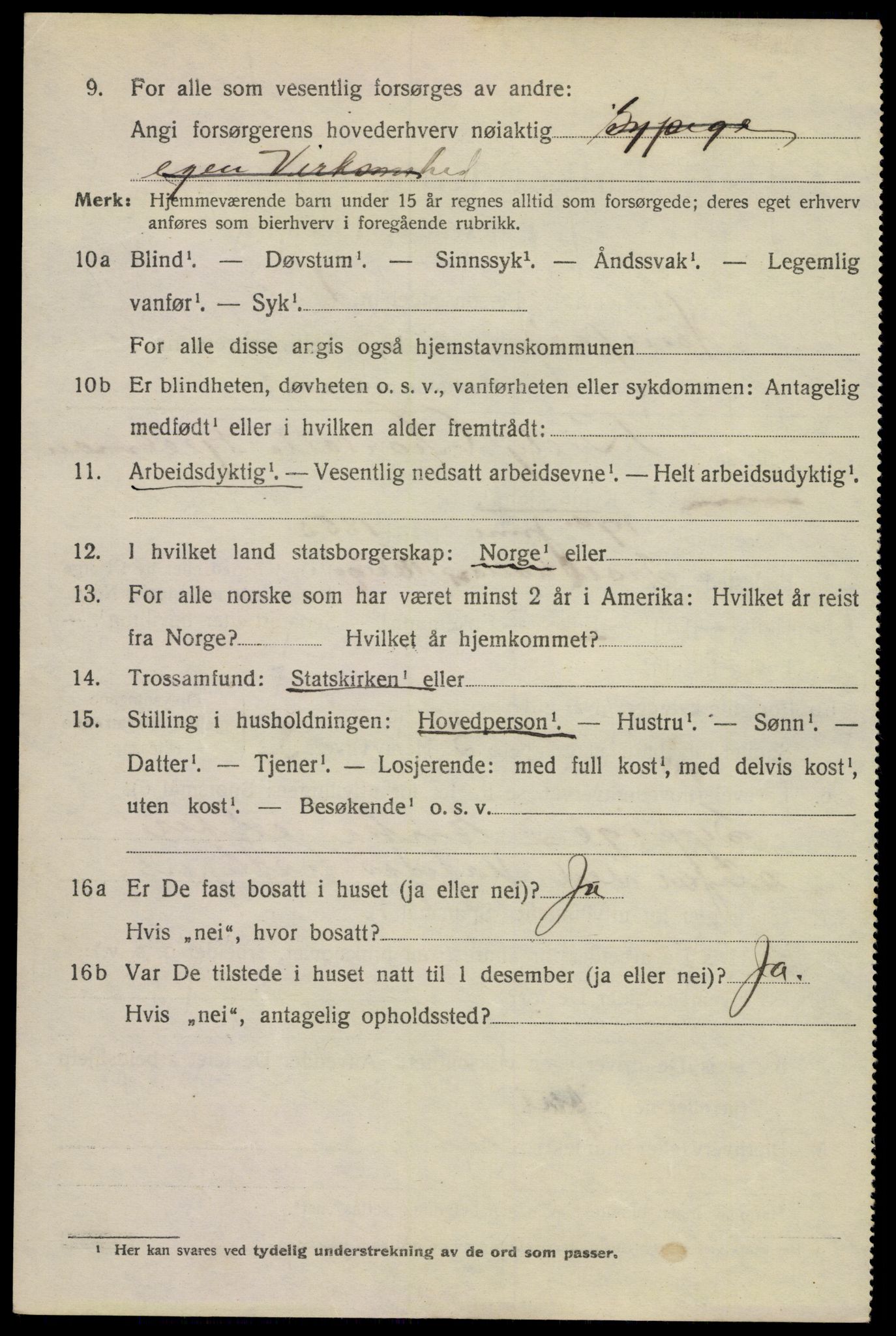 SAKO, 1920 census for Hønefoss, 1920, p. 6999