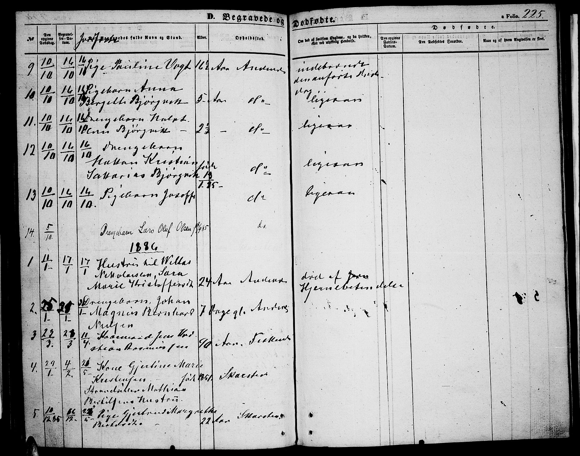 Ministerialprotokoller, klokkerbøker og fødselsregistre - Nordland, SAT/A-1459/899/L1447: Parish register (copy) no. 899C02, 1855-1886, p. 225