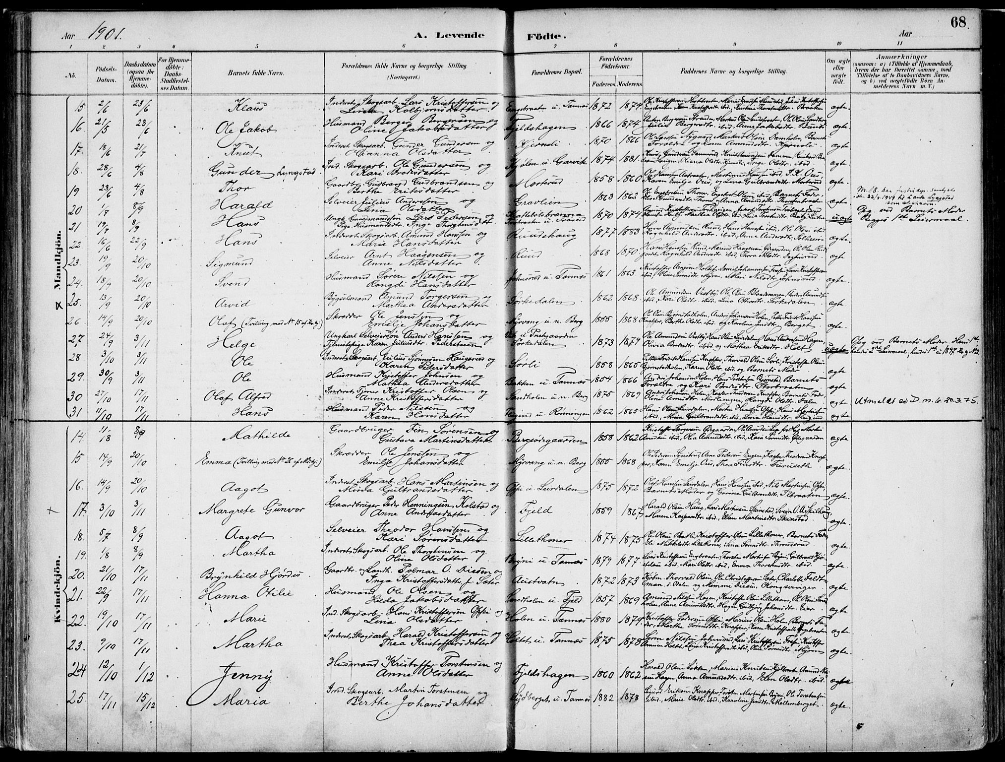 Nord-Odal prestekontor, AV/SAH-PREST-032/H/Ha/Haa/L0008: Parish register (official) no. 8, 1886-1901, p. 68