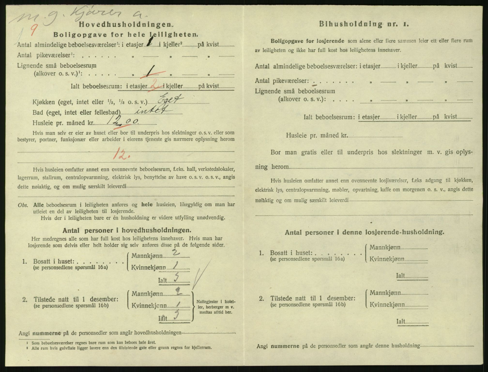 SAKO, 1920 census for Larvik, 1920, p. 3825