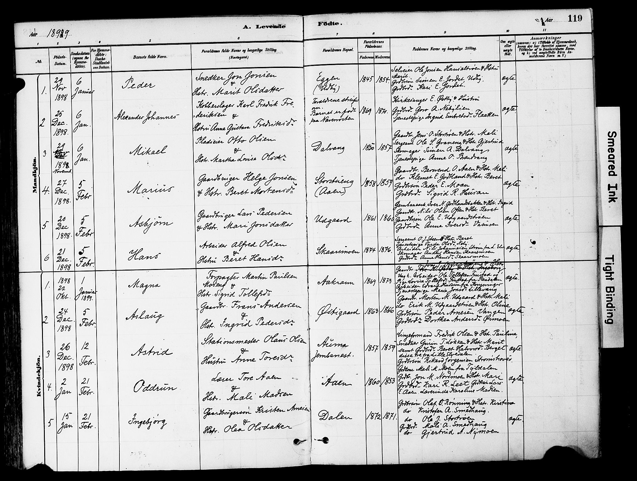 Tynset prestekontor, SAH/PREST-058/H/Ha/Haa/L0022: Parish register (official) no. 22, 1880-1899, p. 119
