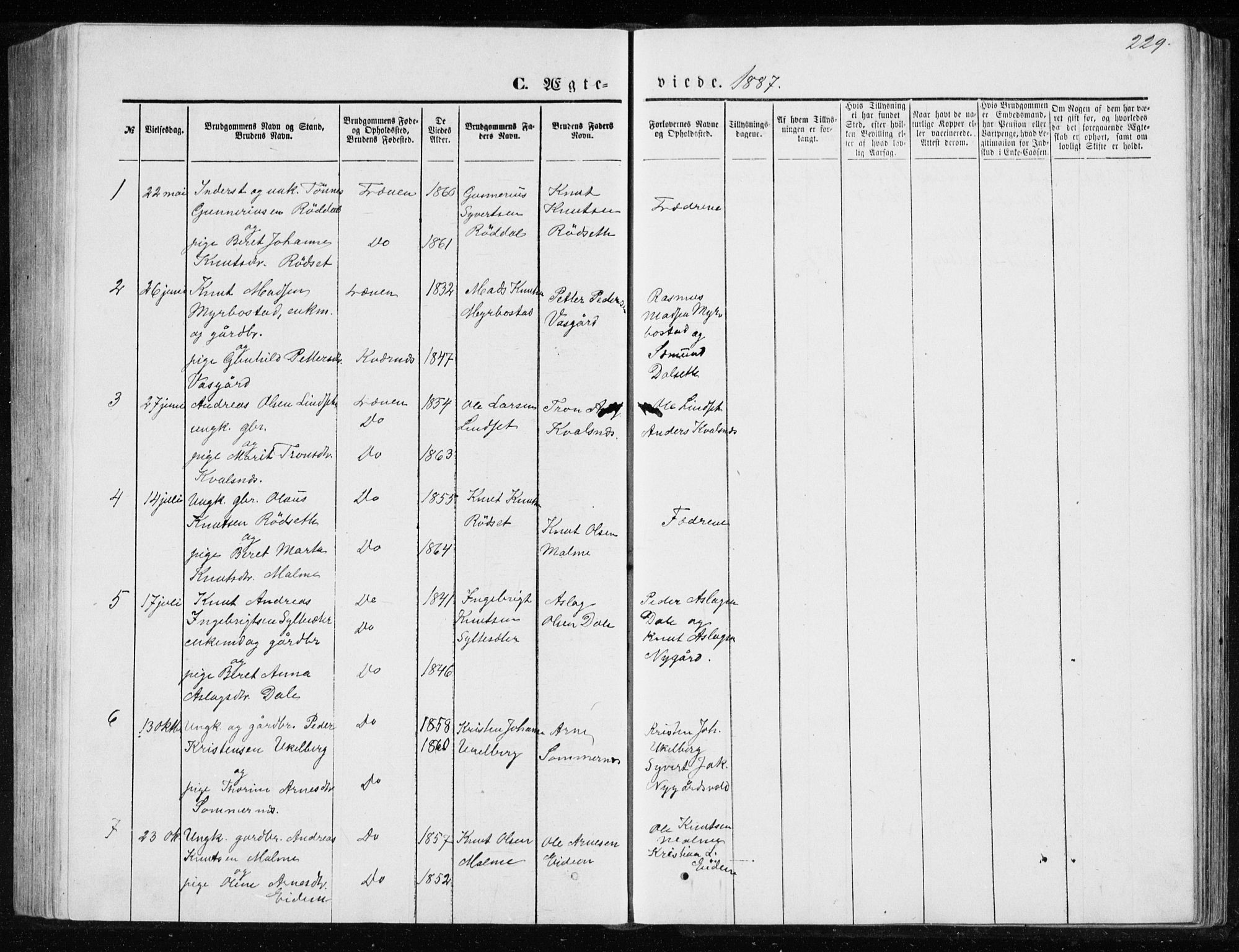 Ministerialprotokoller, klokkerbøker og fødselsregistre - Møre og Romsdal, SAT/A-1454/565/L0754: Parish register (copy) no. 565C03, 1870-1896, p. 229