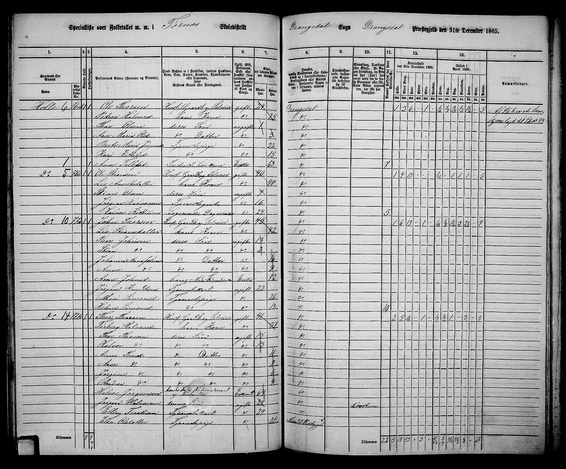 RA, 1865 census for Drangedal, 1865, p. 67