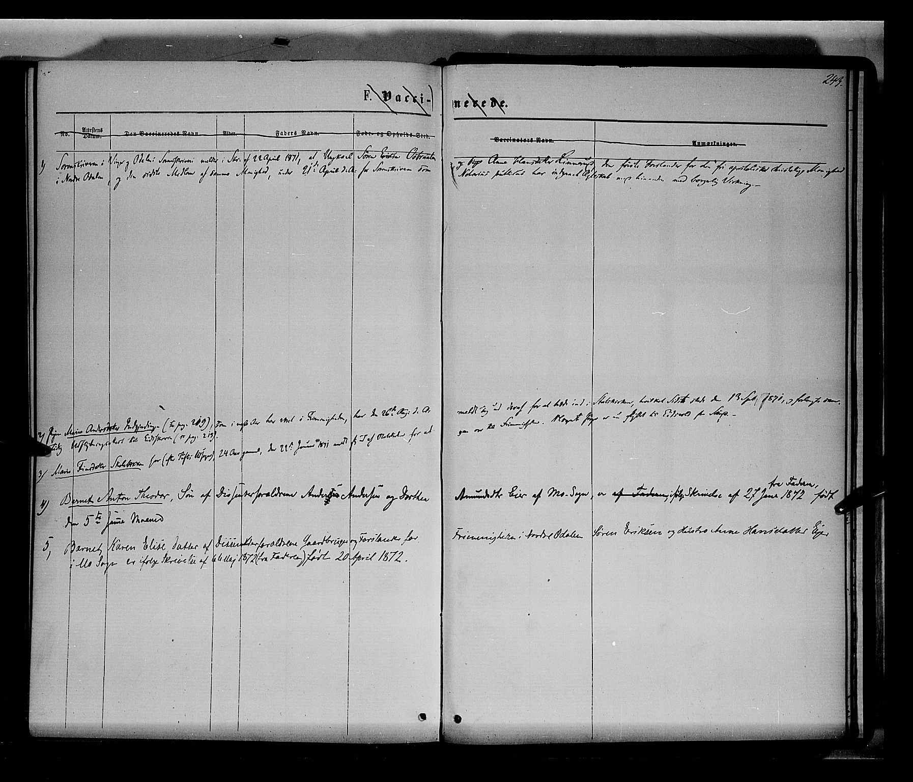 Nord-Odal prestekontor, SAH/PREST-032/H/Ha/Haa/L0004: Parish register (official) no. 4, 1866-1873, p. 243