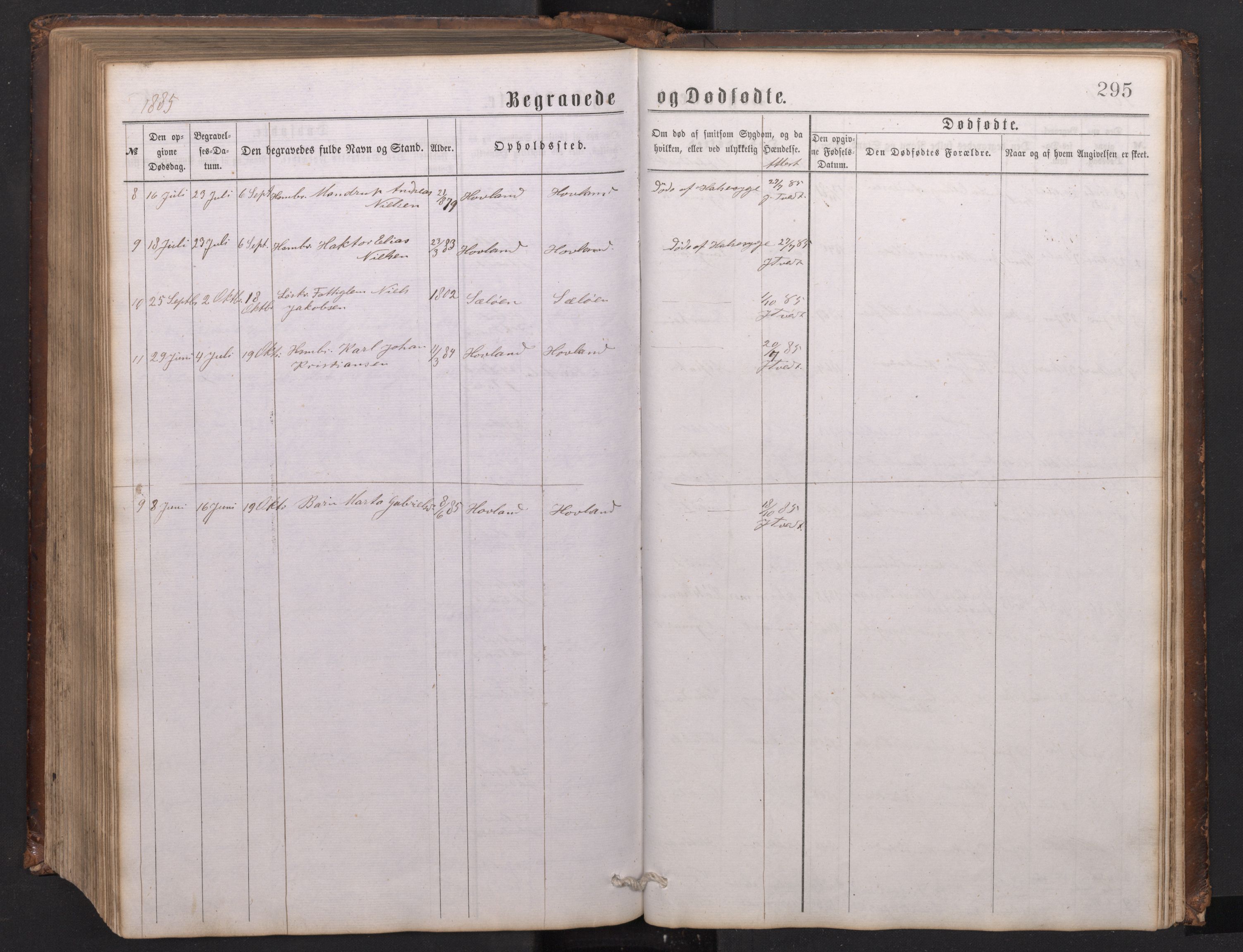 Tysnes sokneprestembete, SAB/A-78601/H/Hab: Parish register (copy) no. C 1, 1873-1895, p. 294b-295a