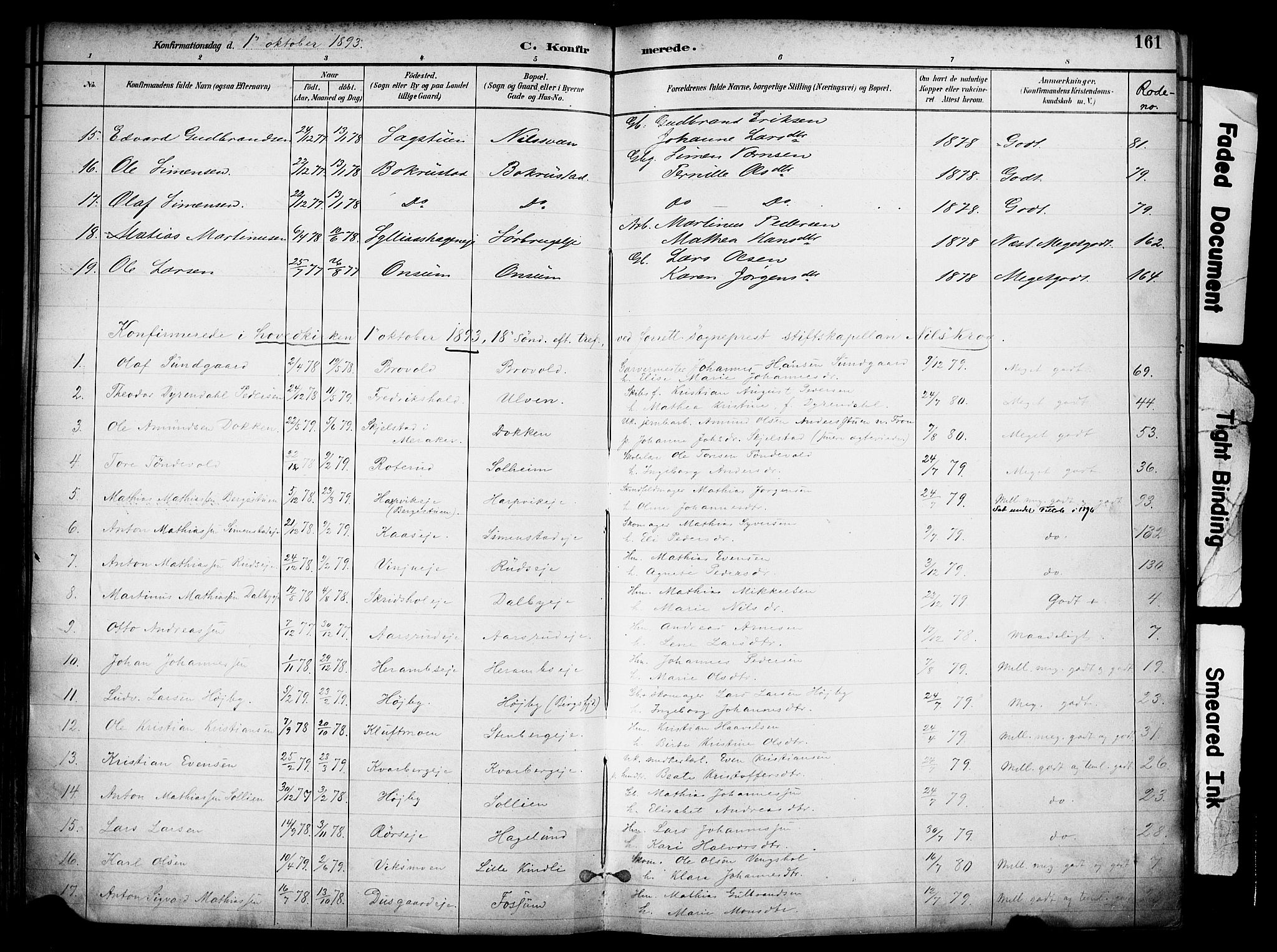 Ringsaker prestekontor, AV/SAH-PREST-014/K/Ka/L0017: Parish register (official) no. 17, 1891-1902, p. 161