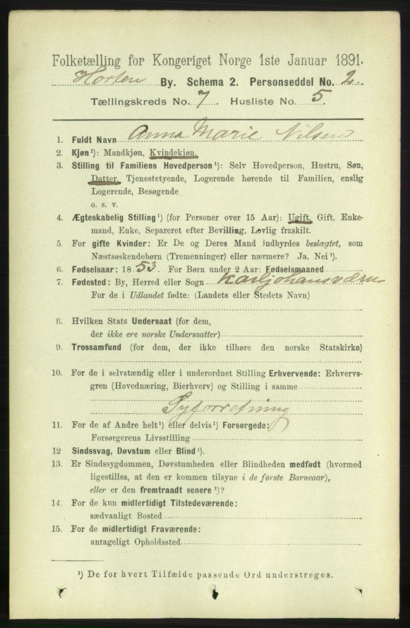 RA, 1891 census for 0703 Horten, 1891, p. 4458