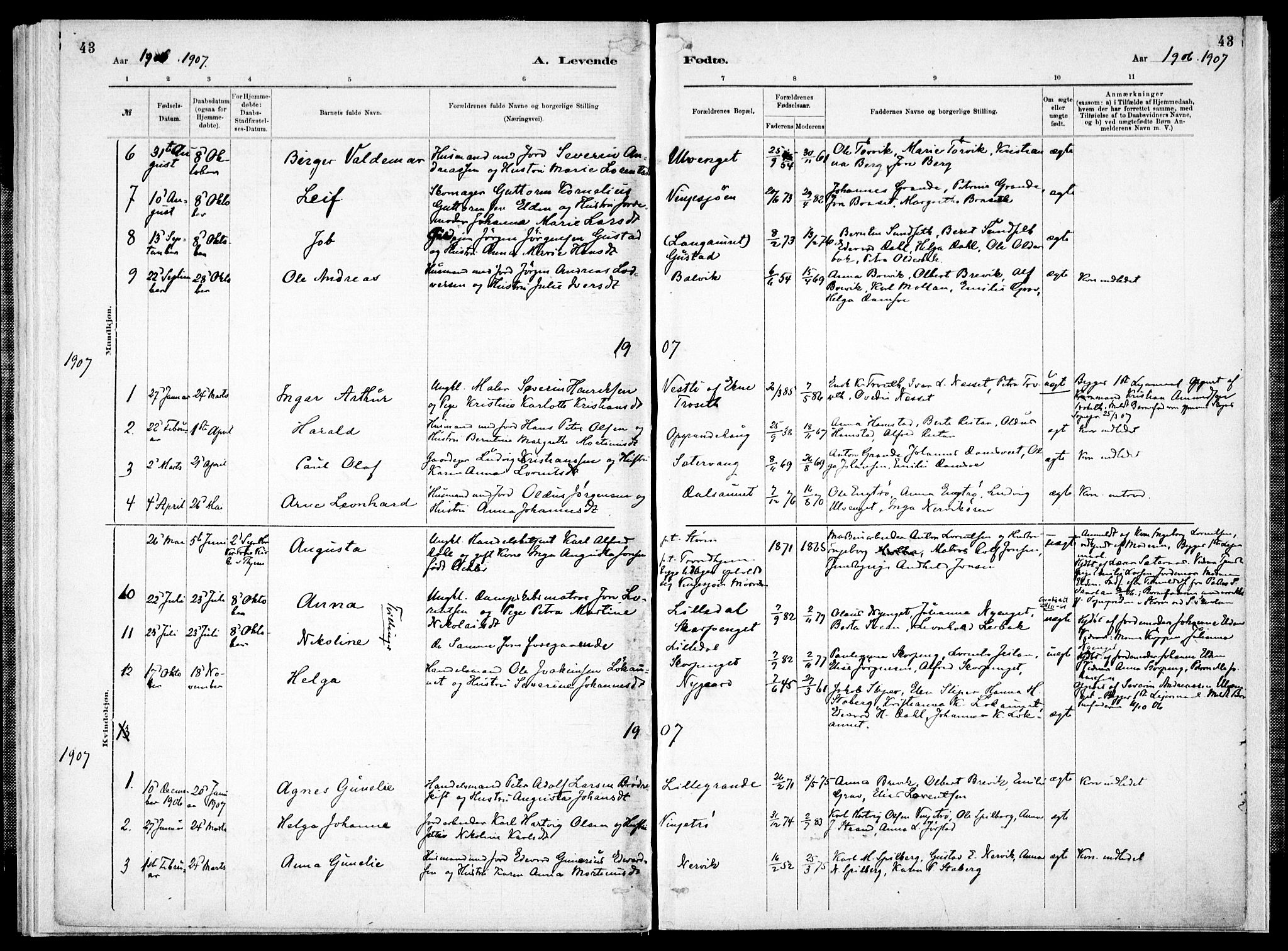 Ministerialprotokoller, klokkerbøker og fødselsregistre - Nord-Trøndelag, SAT/A-1458/733/L0325: Parish register (official) no. 733A04, 1884-1908, p. 43