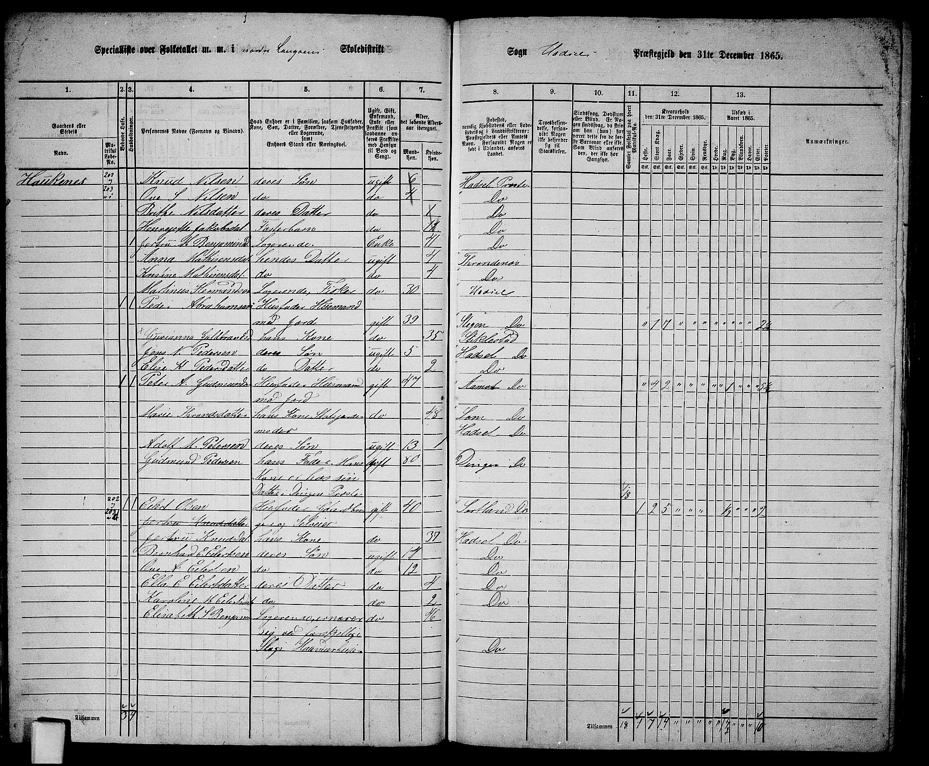 RA, 1865 census for Hadsel, 1865, p. 21