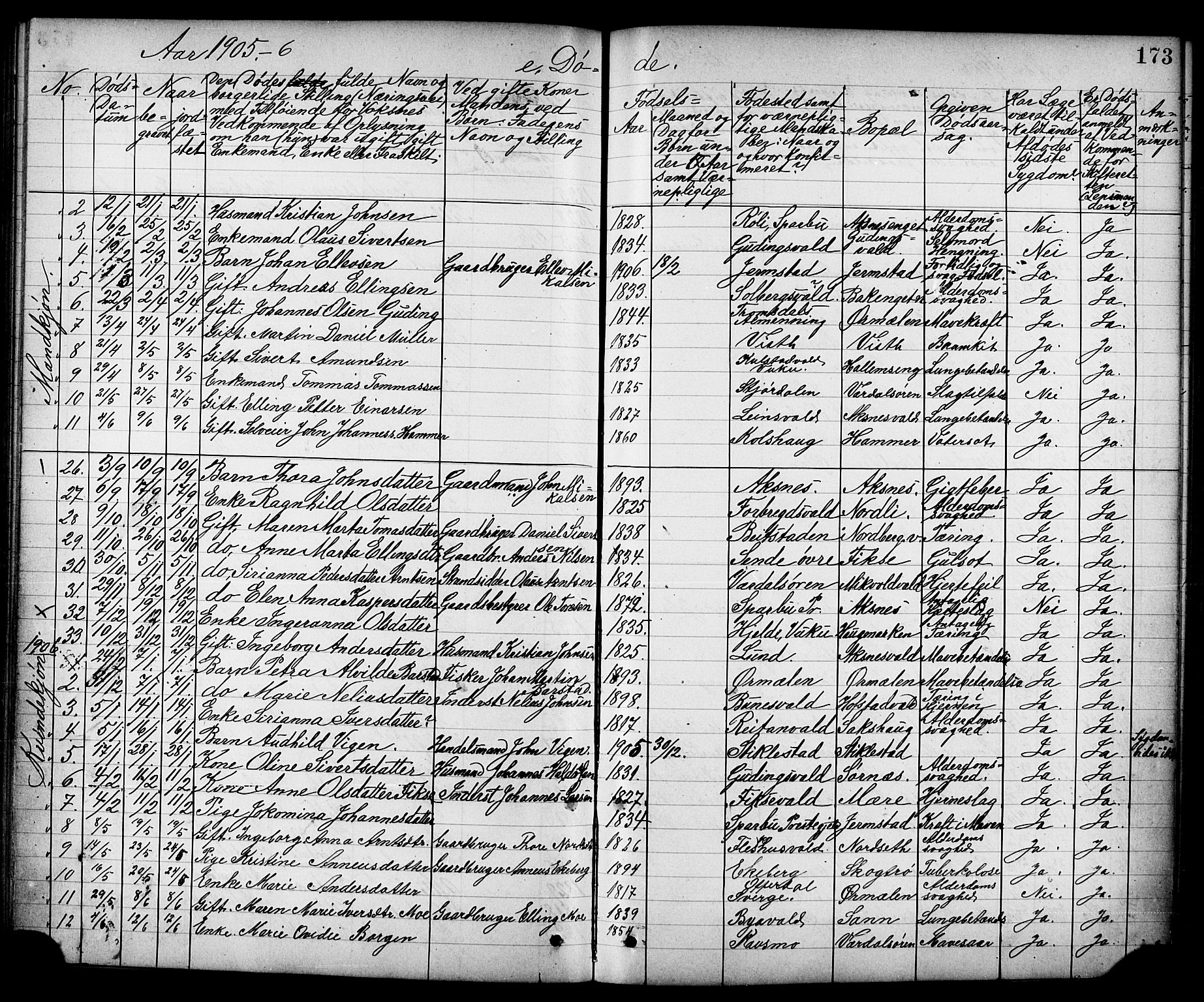 Ministerialprotokoller, klokkerbøker og fødselsregistre - Nord-Trøndelag, SAT/A-1458/723/L0257: Parish register (copy) no. 723C05, 1890-1907, p. 173