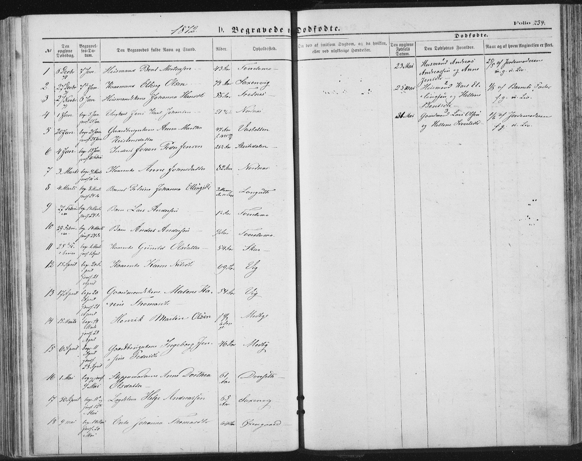 Ministerialprotokoller, klokkerbøker og fødselsregistre - Nordland, SAT/A-1459/847/L0668: Parish register (official) no. 847A08, 1872-1886, p. 234