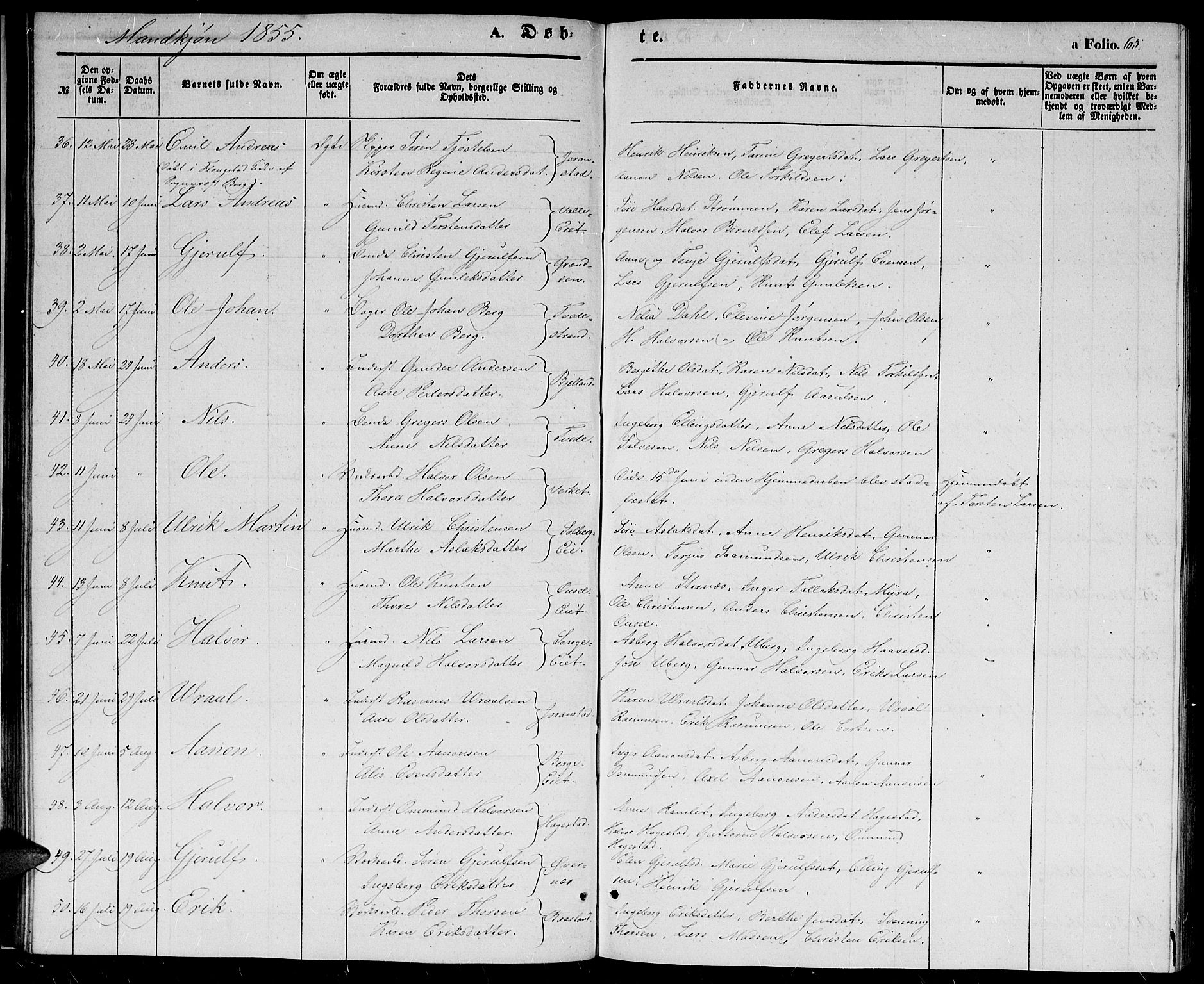 Holt sokneprestkontor, AV/SAK-1111-0021/F/Fb/L0007: Parish register (copy) no. B 7, 1849-1858, p. 65