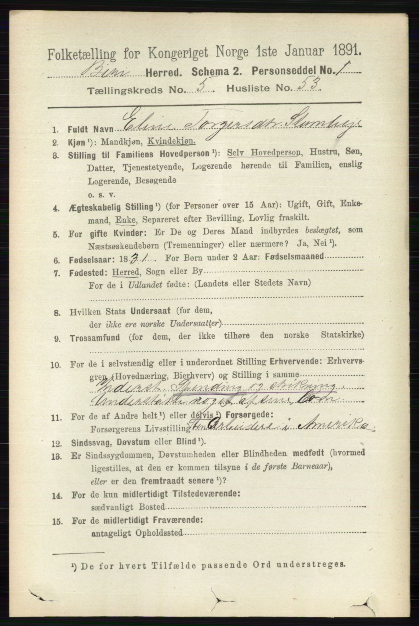 RA, 1891 census for 0525 Biri, 1891, p. 2069