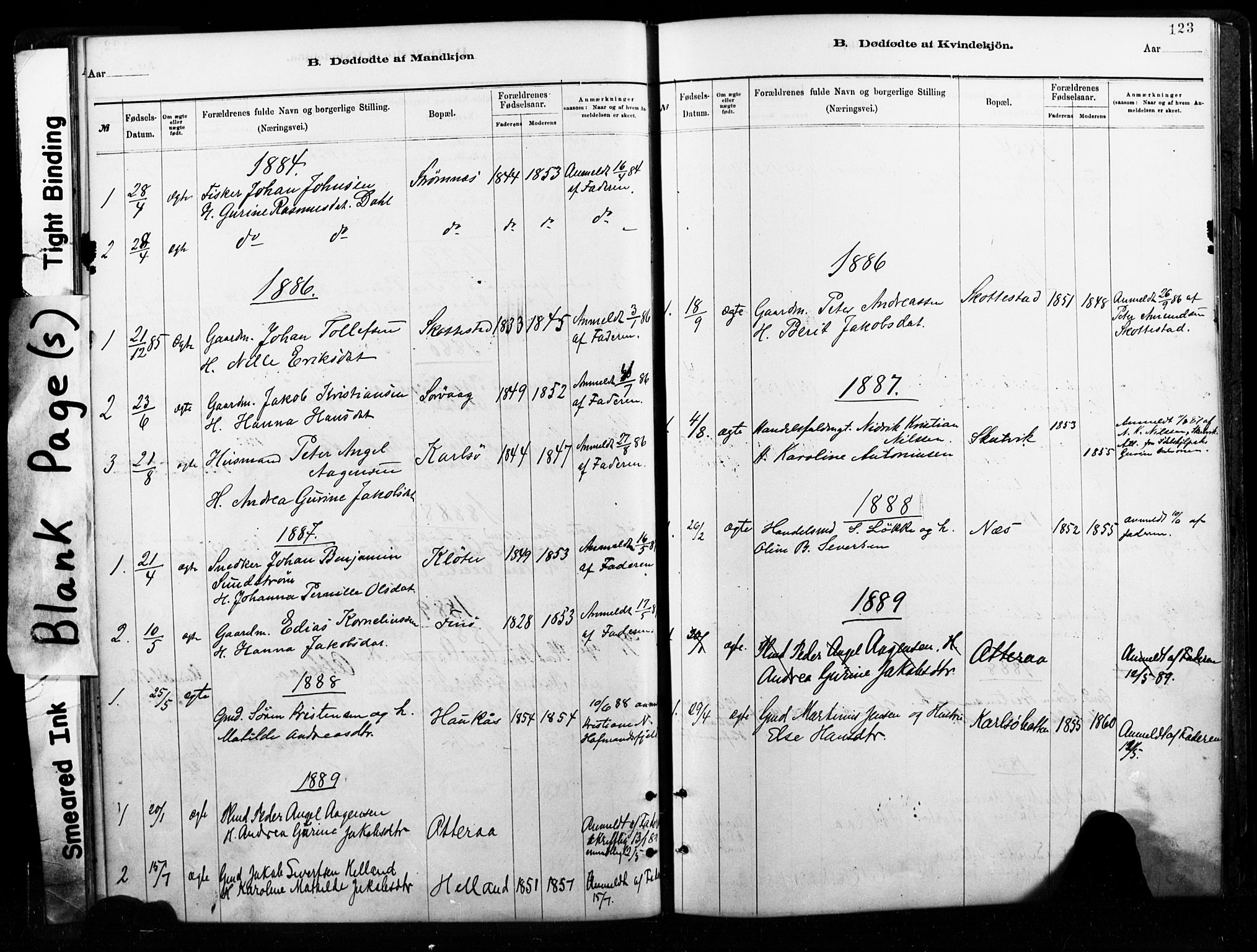 Ministerialprotokoller, klokkerbøker og fødselsregistre - Nordland, AV/SAT-A-1459/859/L0846: Parish register (official) no. 859A06, 1878-1889, p. 123