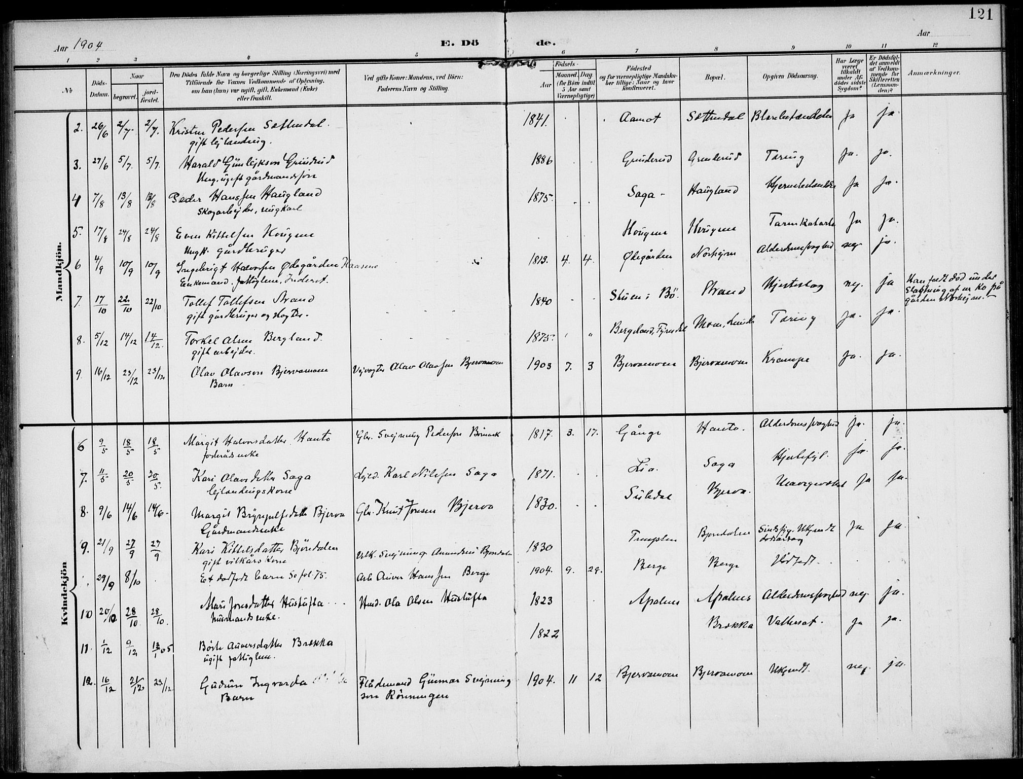 Lunde kirkebøker, AV/SAKO-A-282/F/Fa/L0004: Parish register (official) no. I 4, 1902-1913, p. 121