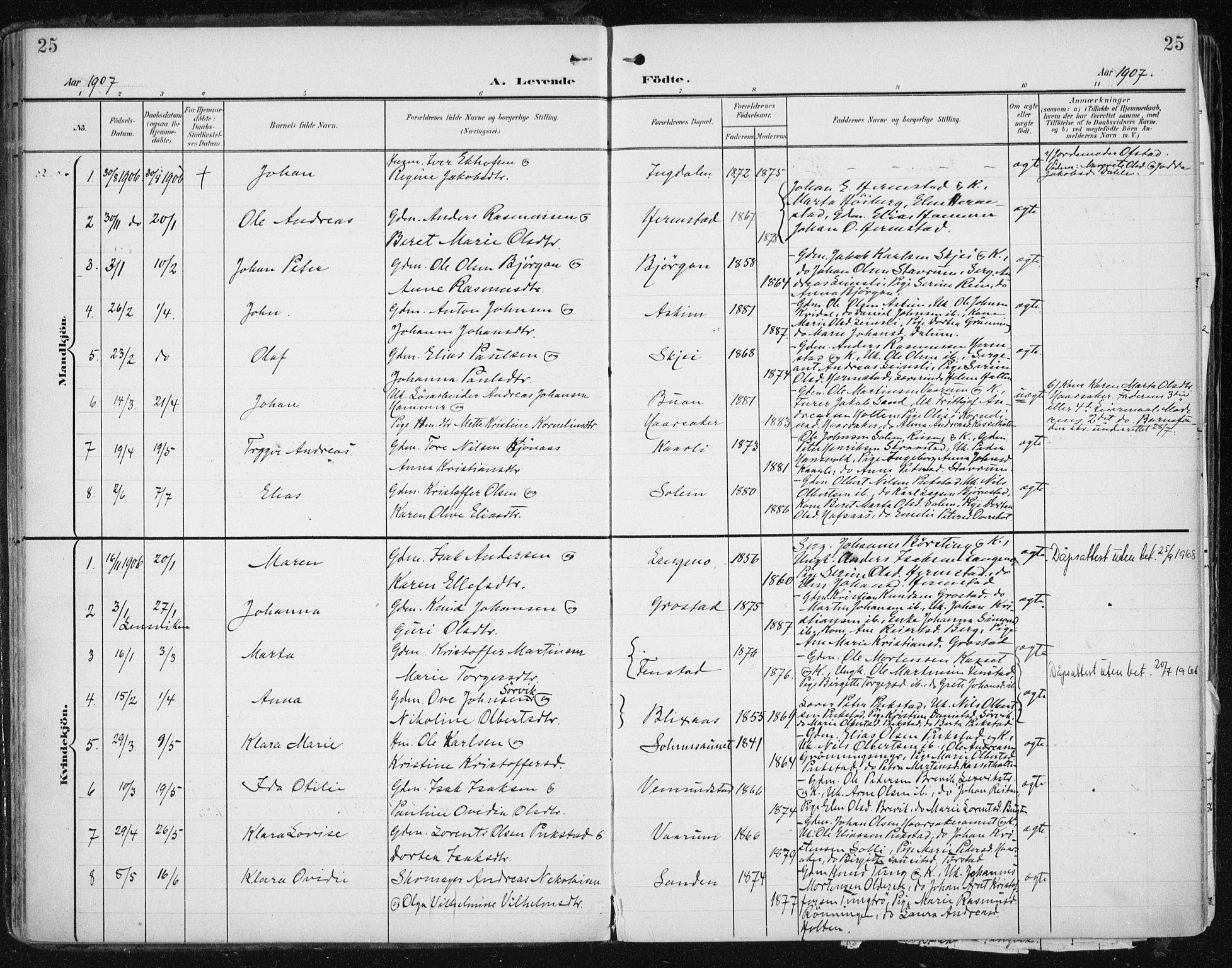 Ministerialprotokoller, klokkerbøker og fødselsregistre - Sør-Trøndelag, SAT/A-1456/646/L0616: Parish register (official) no. 646A14, 1900-1918, p. 25