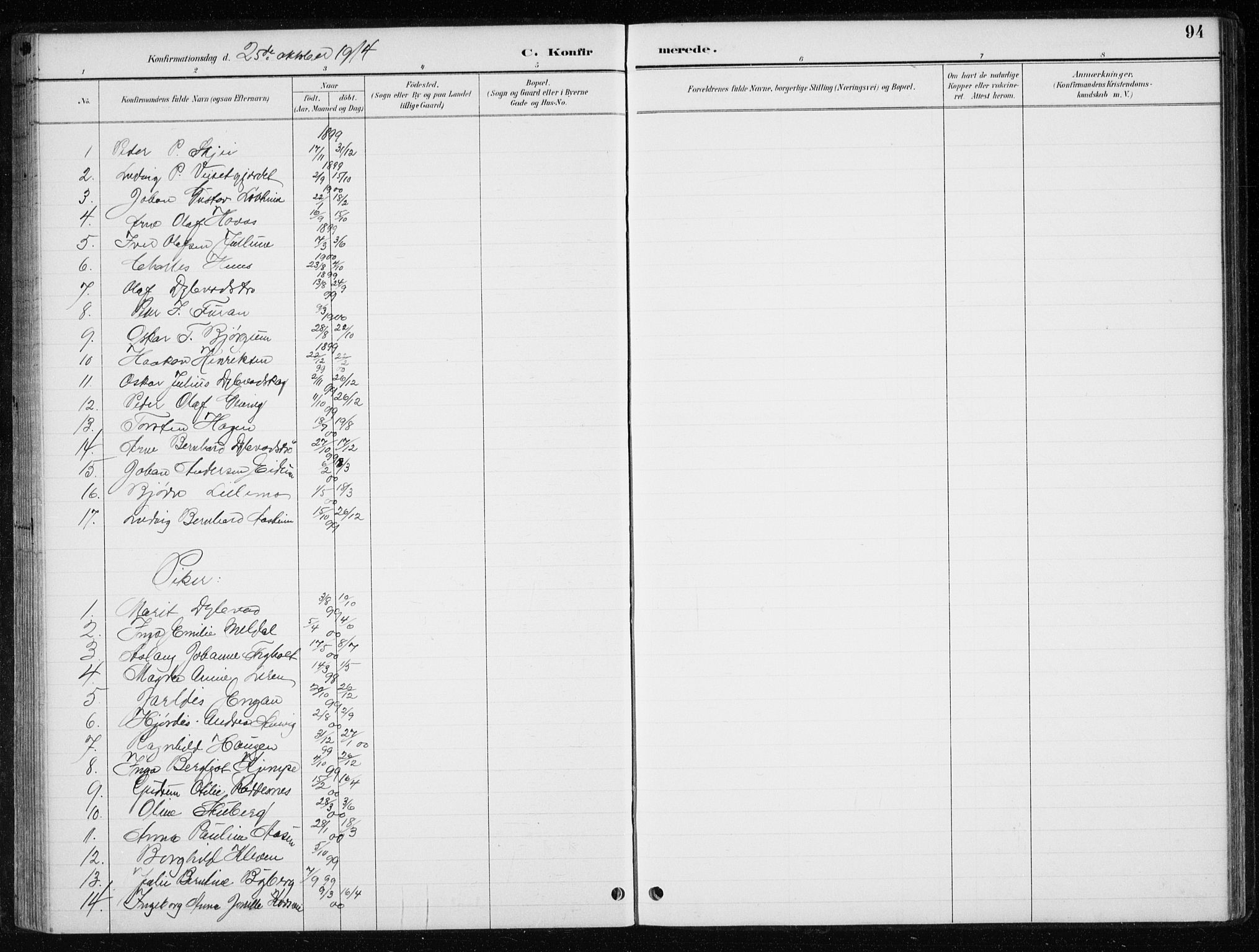 Ministerialprotokoller, klokkerbøker og fødselsregistre - Nord-Trøndelag, AV/SAT-A-1458/710/L0096: Parish register (copy) no. 710C01, 1892-1925, p. 94