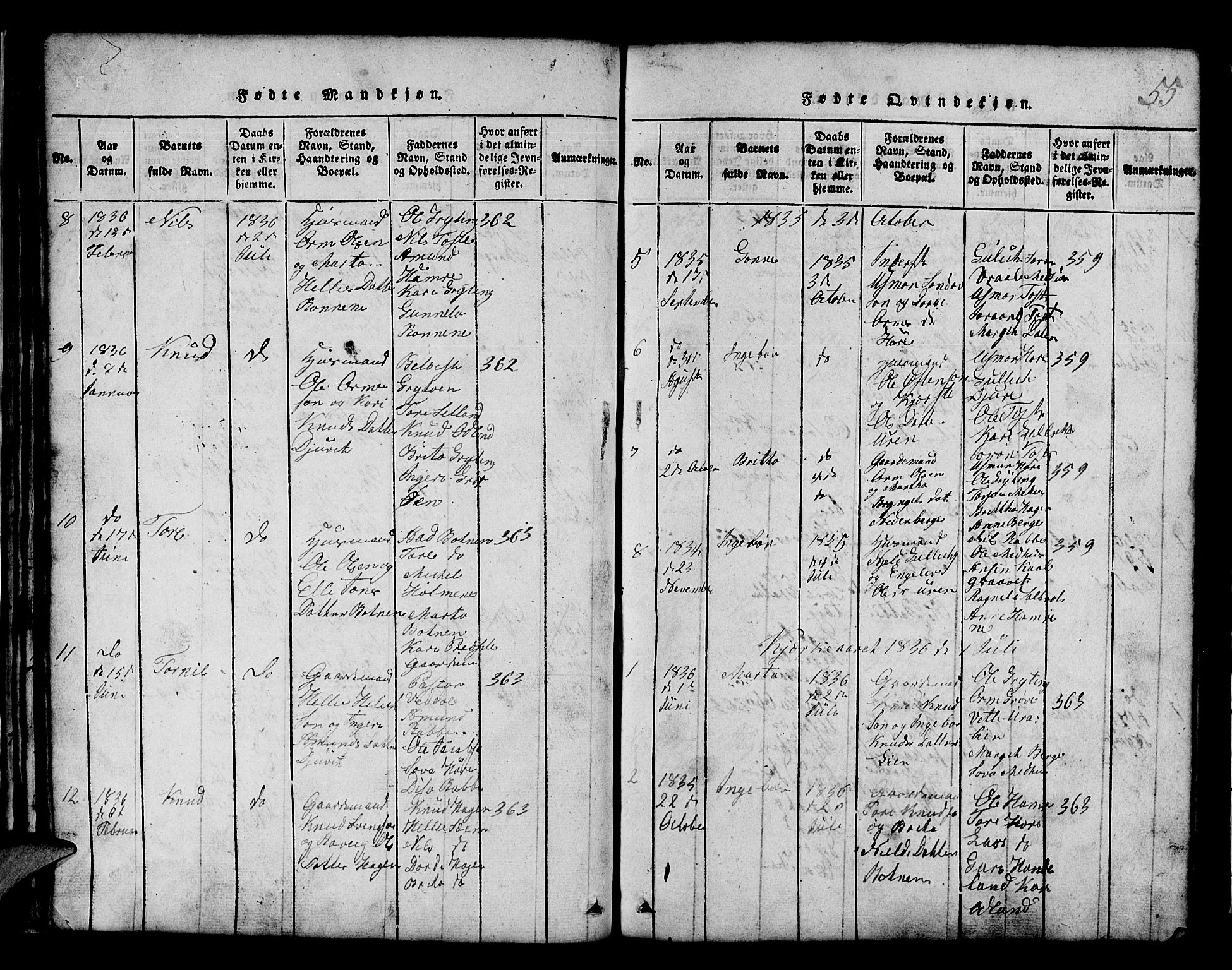 Røldal sokneprestembete, SAB/A-100247: Parish register (copy) no. A 1, 1817-1860, p. 55