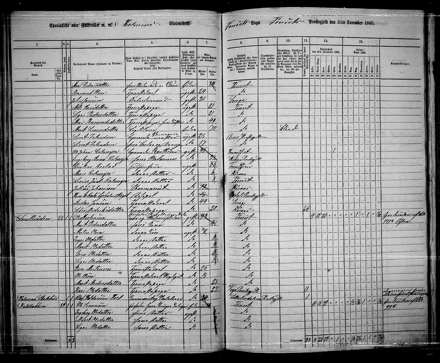 RA, 1865 census for Tynset, 1865, p. 49