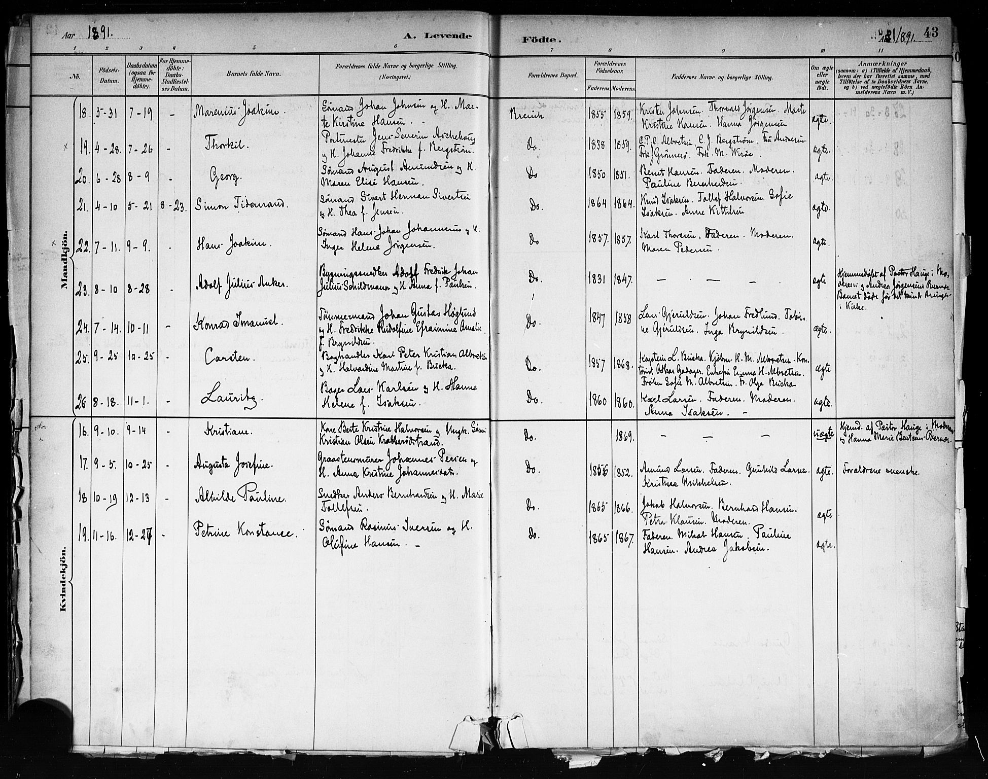 Brevik kirkebøker, SAKO/A-255/F/Fa/L0007: Parish register (official) no. 7, 1882-1900, p. 43