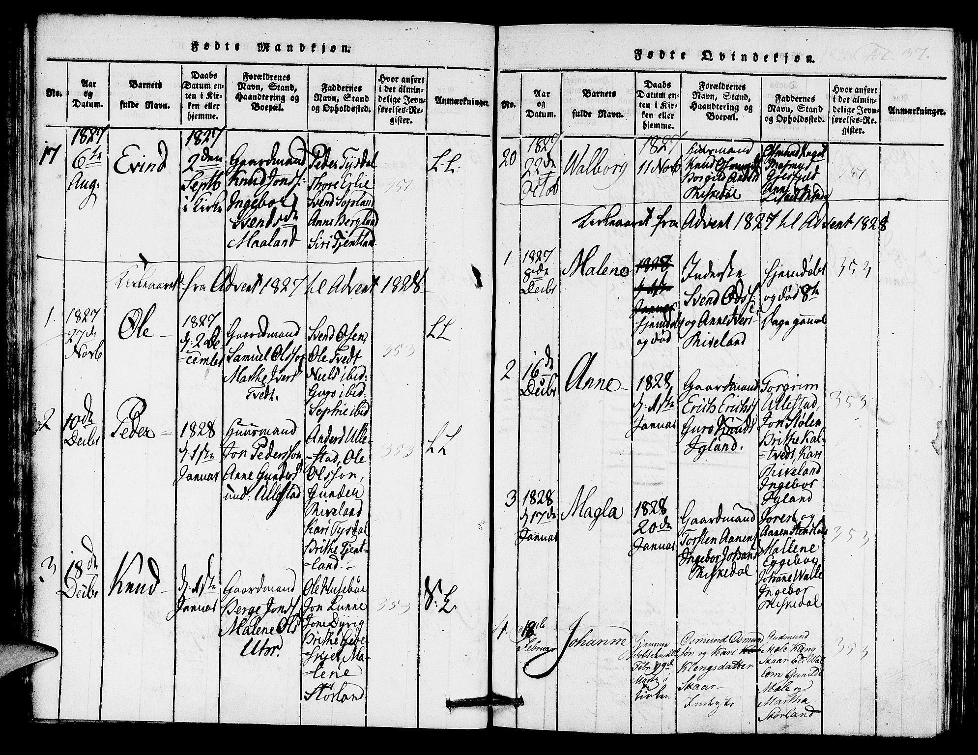 Hjelmeland sokneprestkontor, AV/SAST-A-101843/01/IV/L0005: Parish register (official) no. A 5, 1816-1841, p. 37