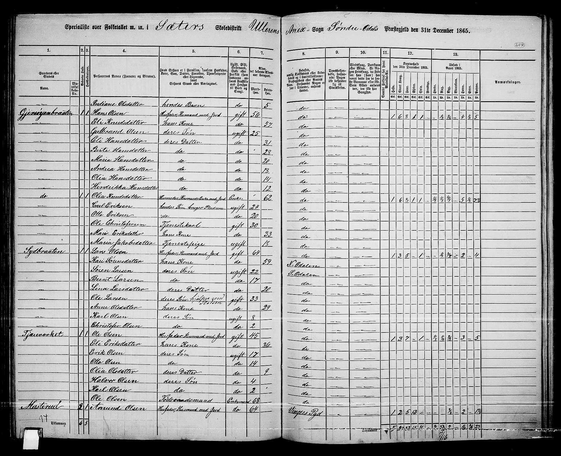 RA, 1865 census for Sør-Odal, 1865, p. 227