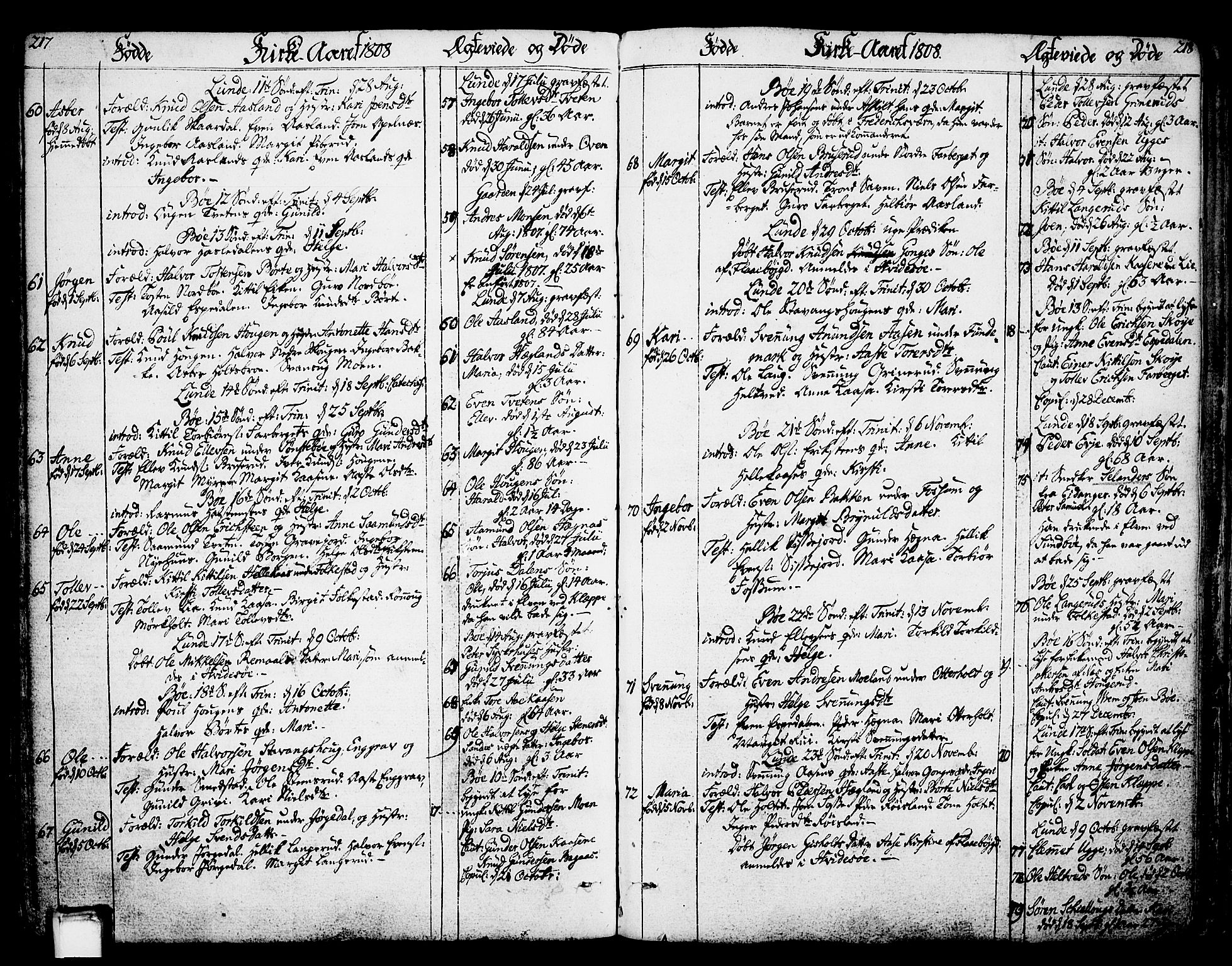 Bø kirkebøker, SAKO/A-257/F/Fa/L0005: Parish register (official) no. 5, 1785-1815, p. 217-218