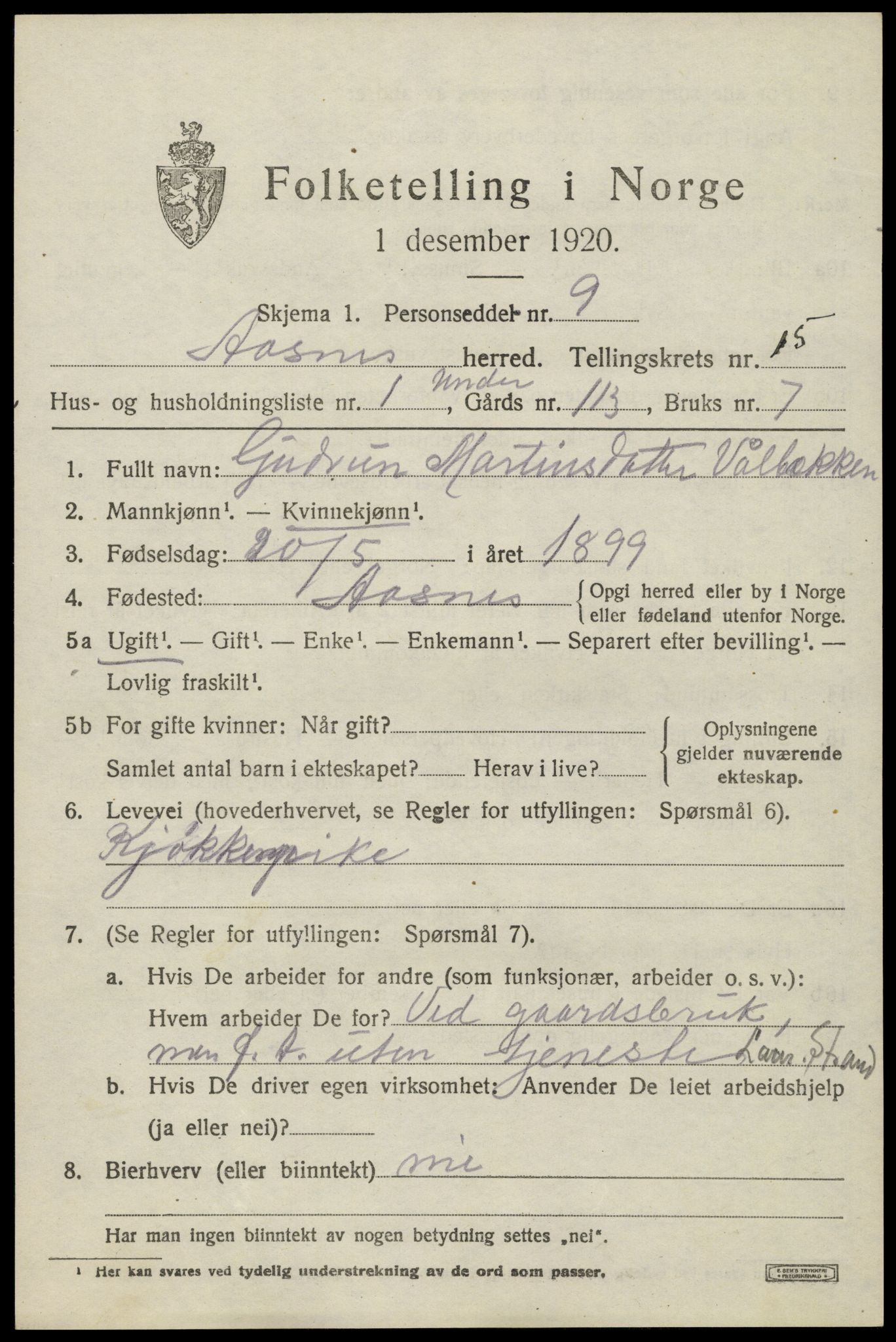 SAH, 1920 census for Åsnes, 1920, p. 14042