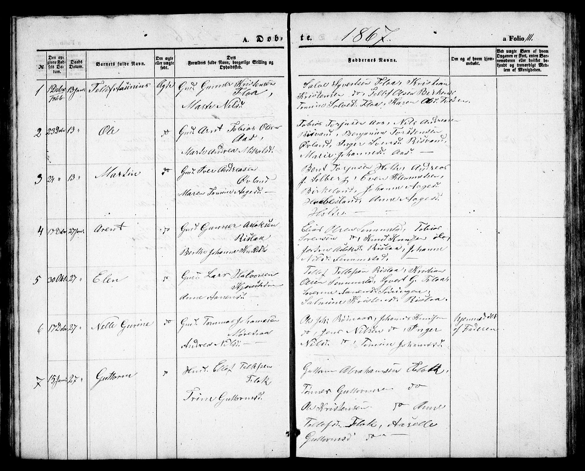 Birkenes sokneprestkontor, AV/SAK-1111-0004/F/Fb/L0002: Parish register (copy) no. B 2, 1849-1876, p. 111