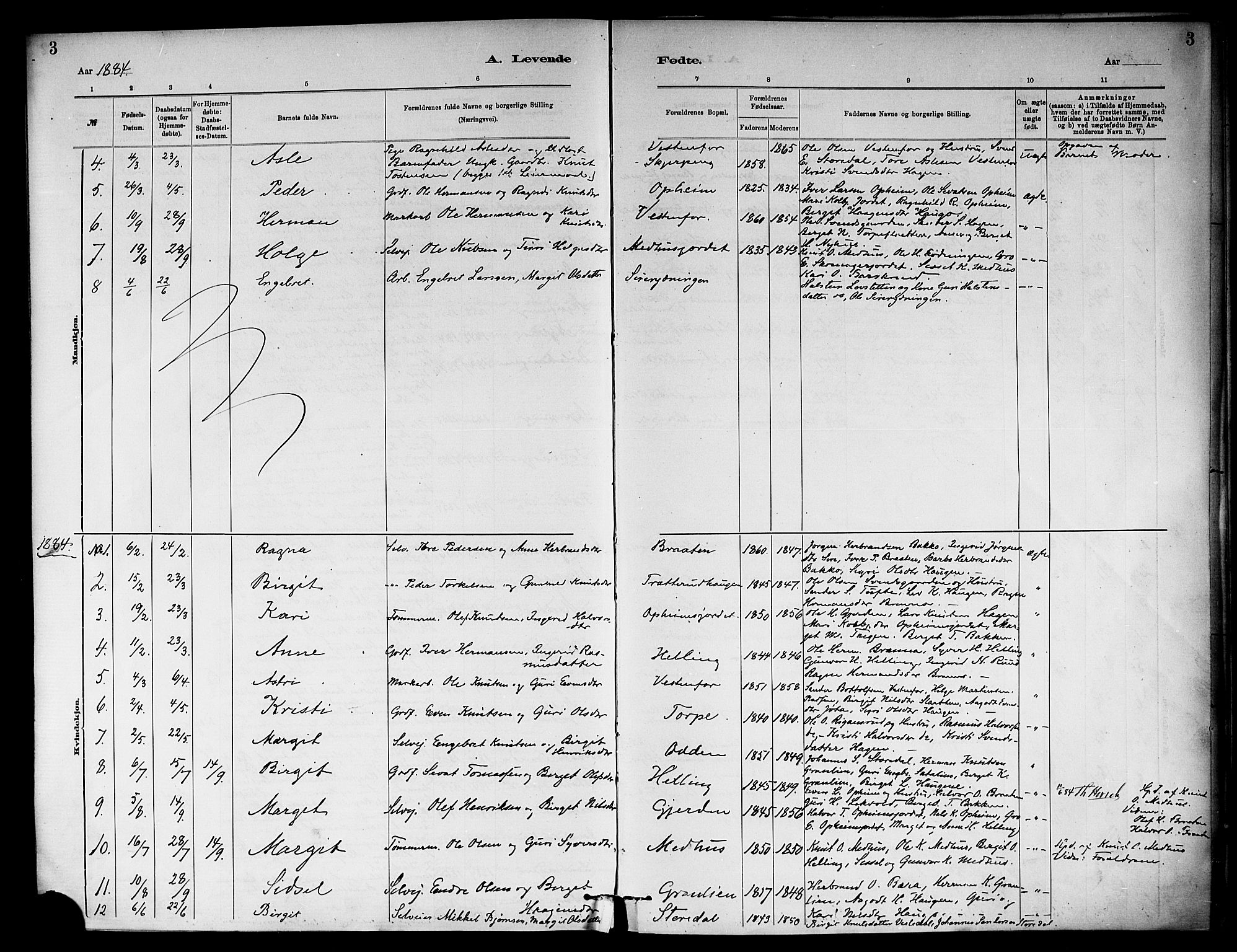 Ål kirkebøker, SAKO/A-249/F/Fb/L0001: Parish register (official) no. II 1, 1882-1899, p. 3