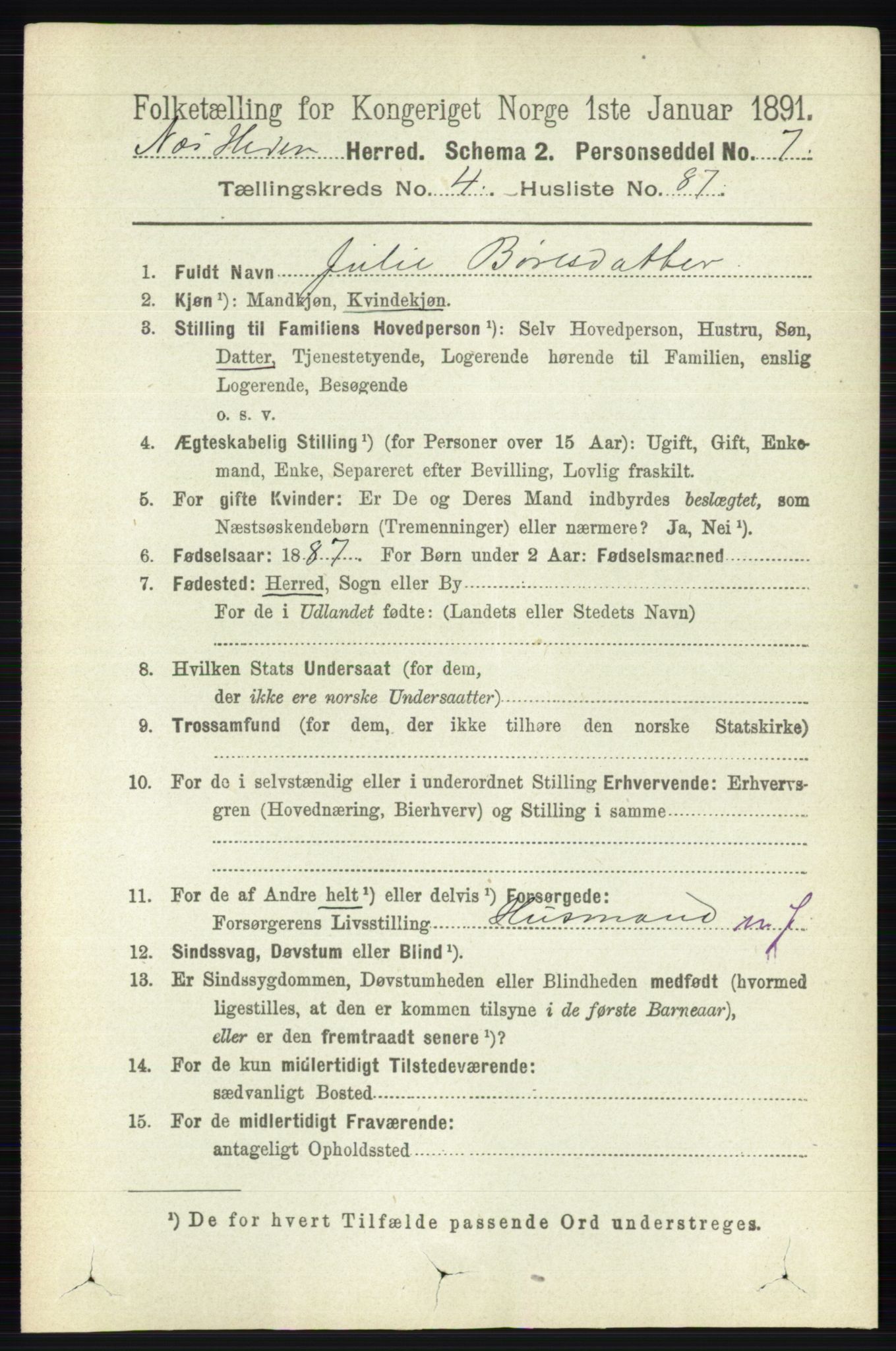 RA, 1891 census for 0411 Nes, 1891, p. 2509