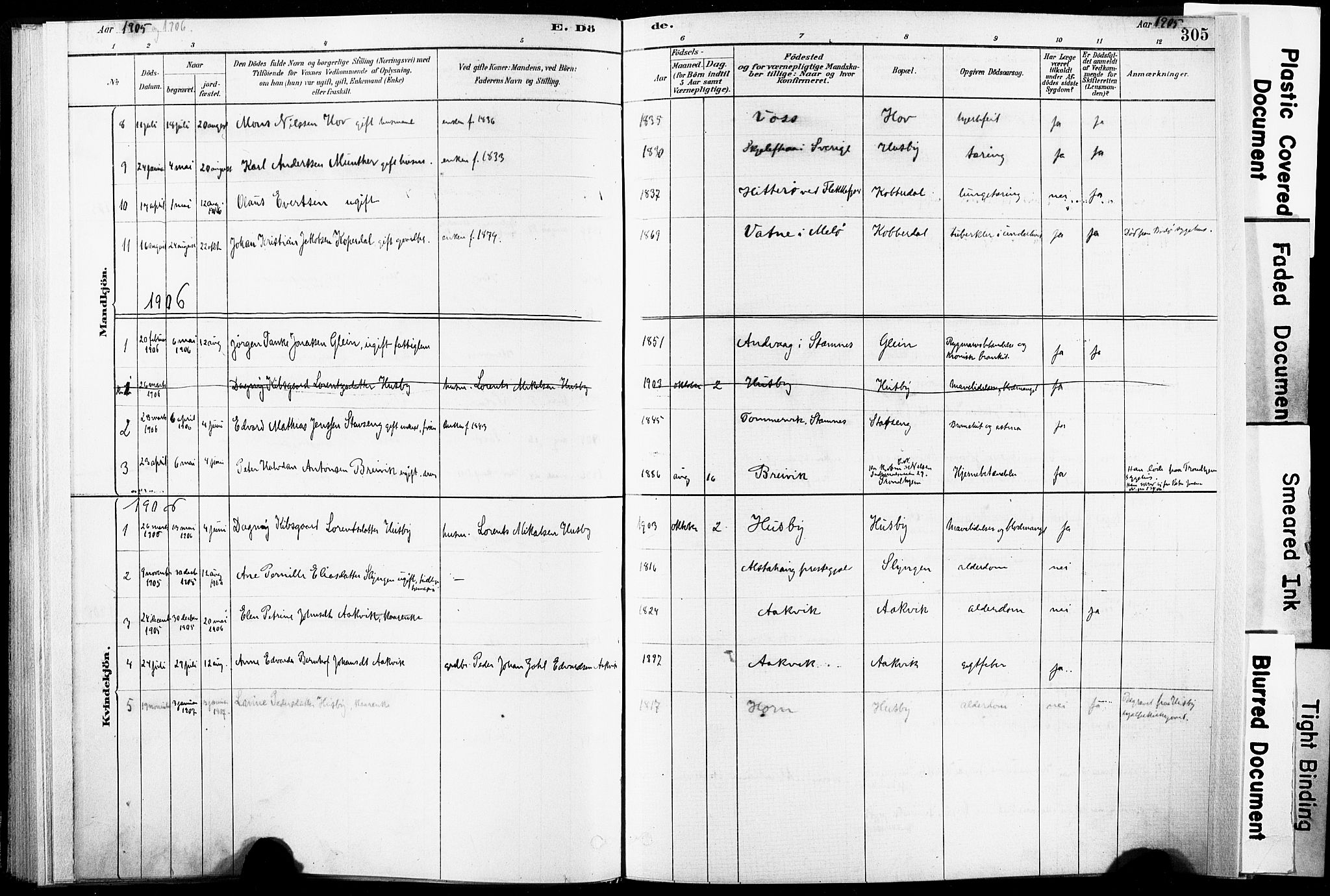 Ministerialprotokoller, klokkerbøker og fødselsregistre - Nordland, AV/SAT-A-1459/835/L0526: Parish register (official) no. 835A03II, 1881-1910, p. 305