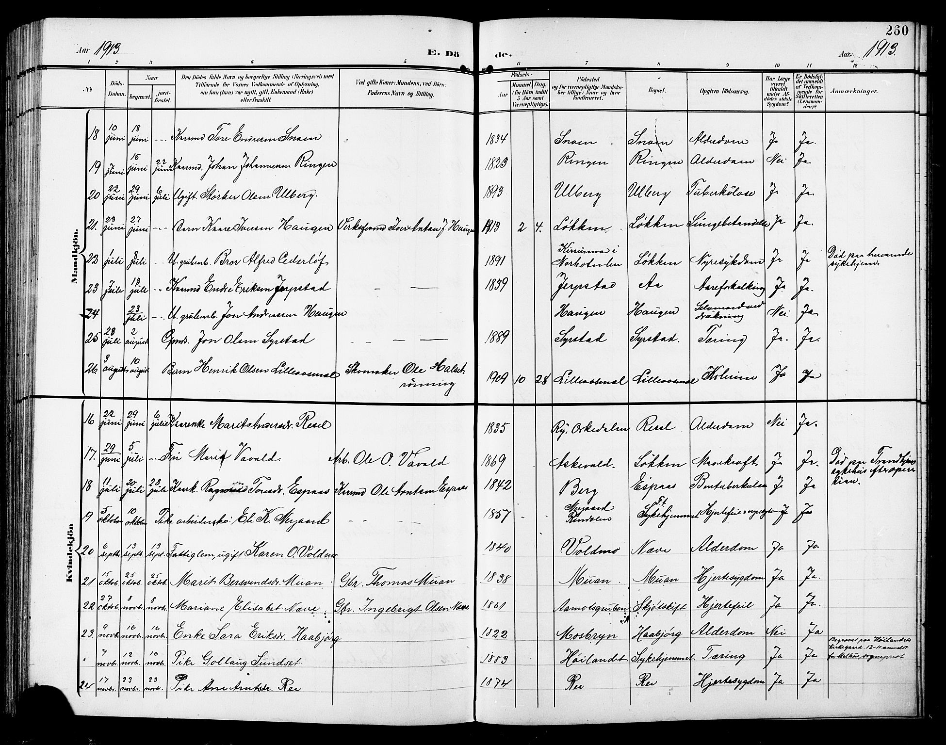 Ministerialprotokoller, klokkerbøker og fødselsregistre - Sør-Trøndelag, SAT/A-1456/672/L0864: Parish register (copy) no. 672C03, 1902-1914, p. 260