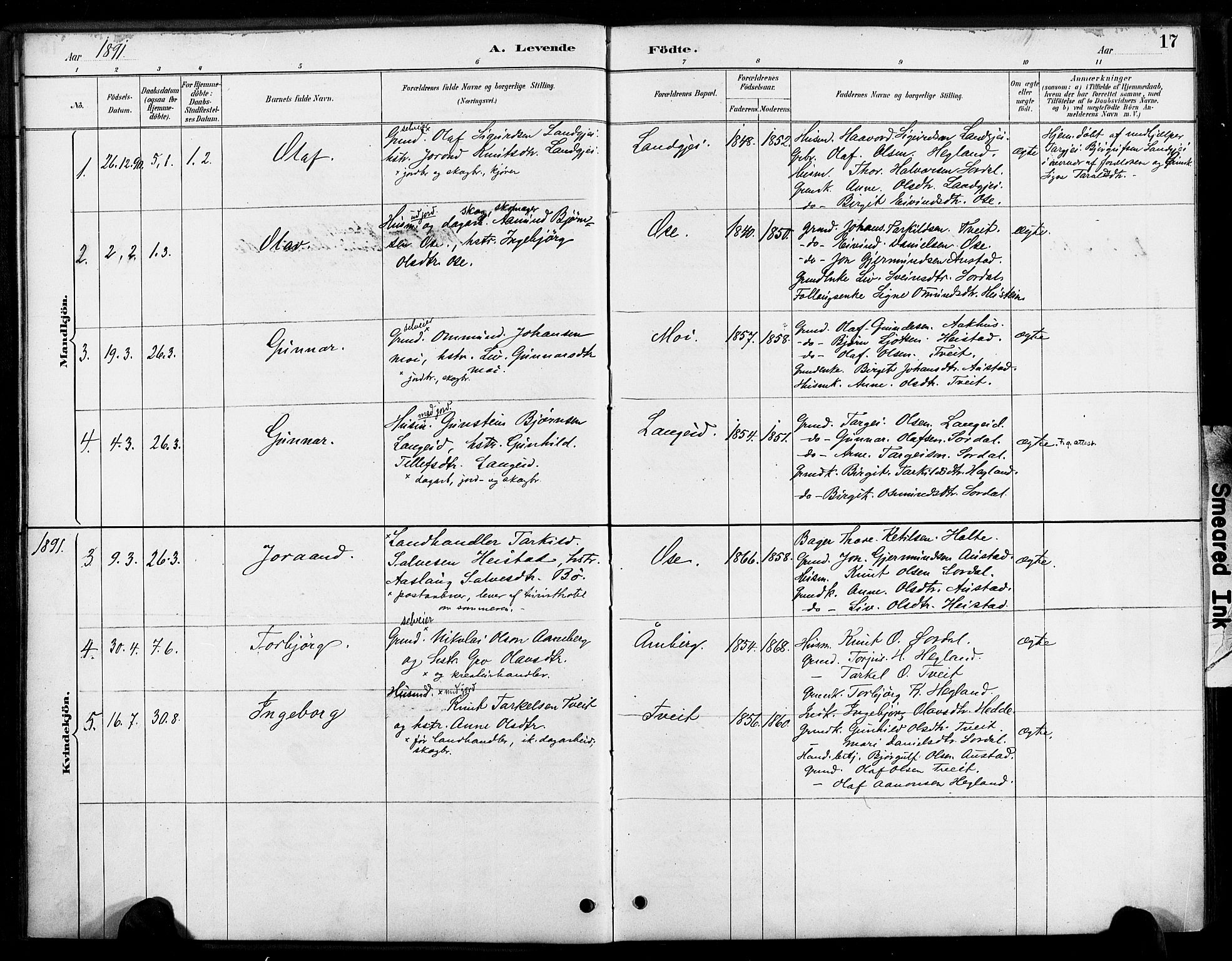Bygland sokneprestkontor, SAK/1111-0006/F/Fa/Faa/L0001: Parish register (official) no. A 1, 1885-1908, p. 17