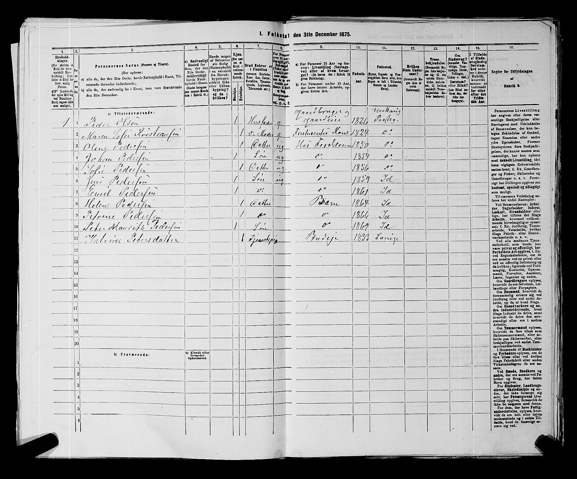 RA, 1875 census for 0117P Idd, 1875, p. 175