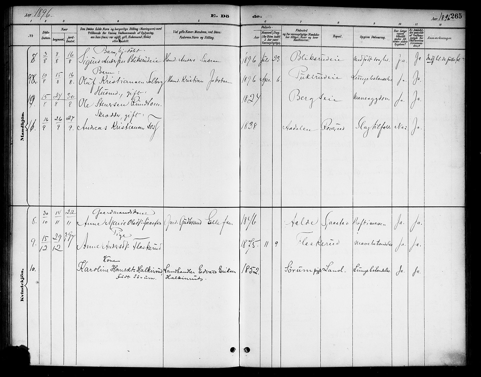 Lunder kirkebøker, SAKO/A-629/G/Ga/L0004: Parish register (copy) no. I 4, 1889-1917, p. 265