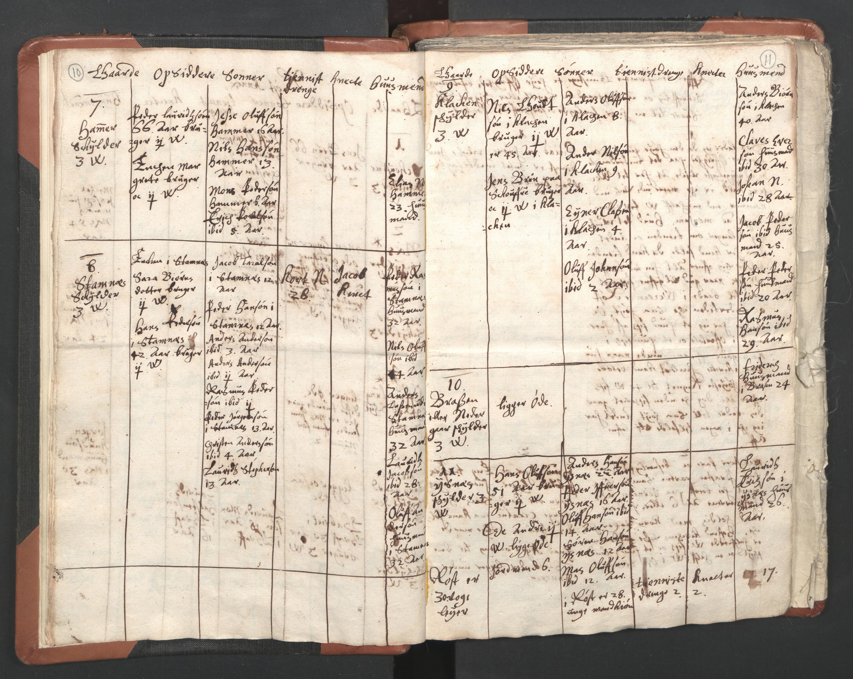 RA, Vicar's Census 1664-1666, no. 36: Lofoten and Vesterålen deanery, Senja deanery and Troms deanery, 1664-1666, p. 10-11