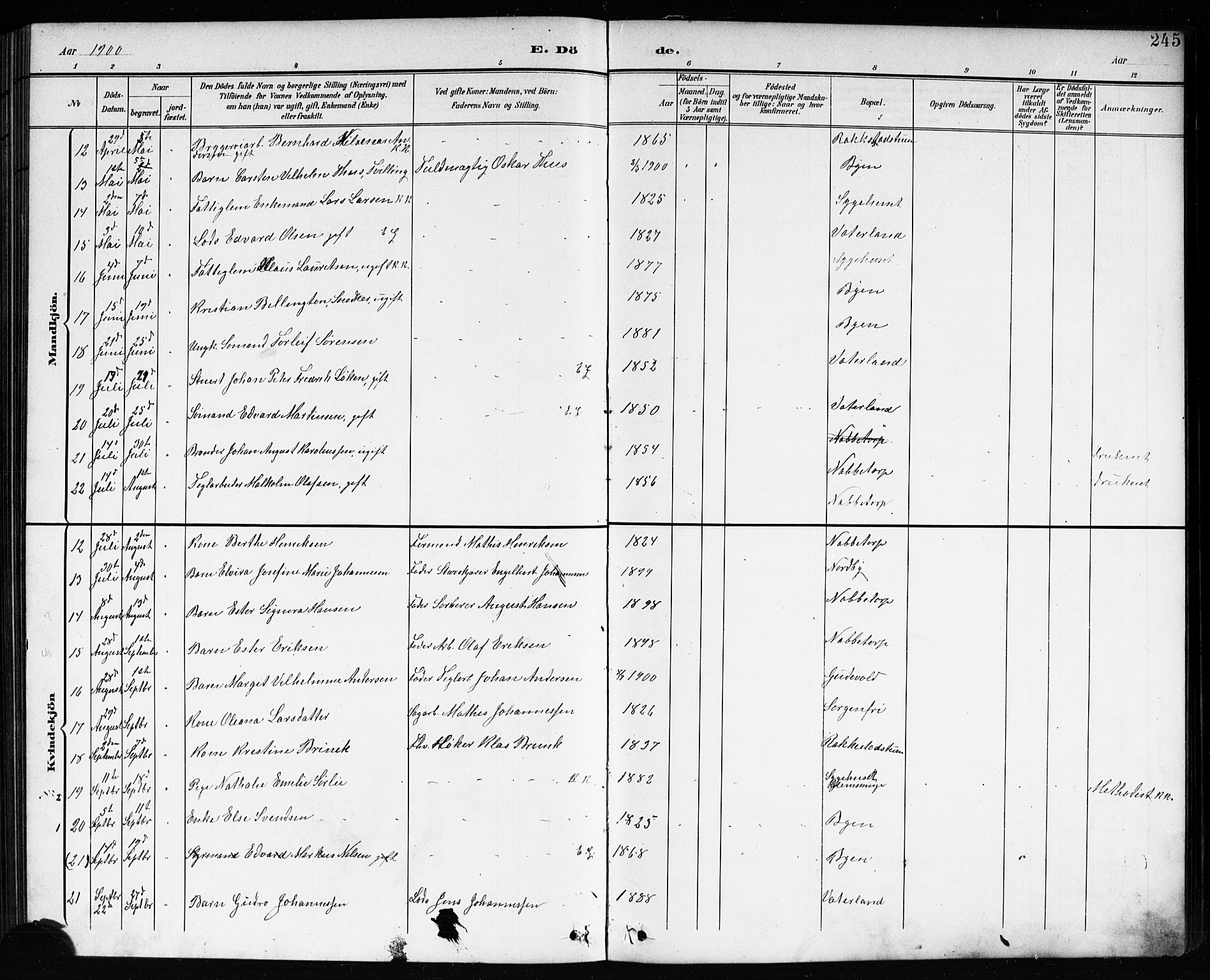 Østre Fredrikstad prestekontor Kirkebøker, SAO/A-10907/G/Ga/L0002: Parish register (copy) no. 2, 1900-1919, p. 245
