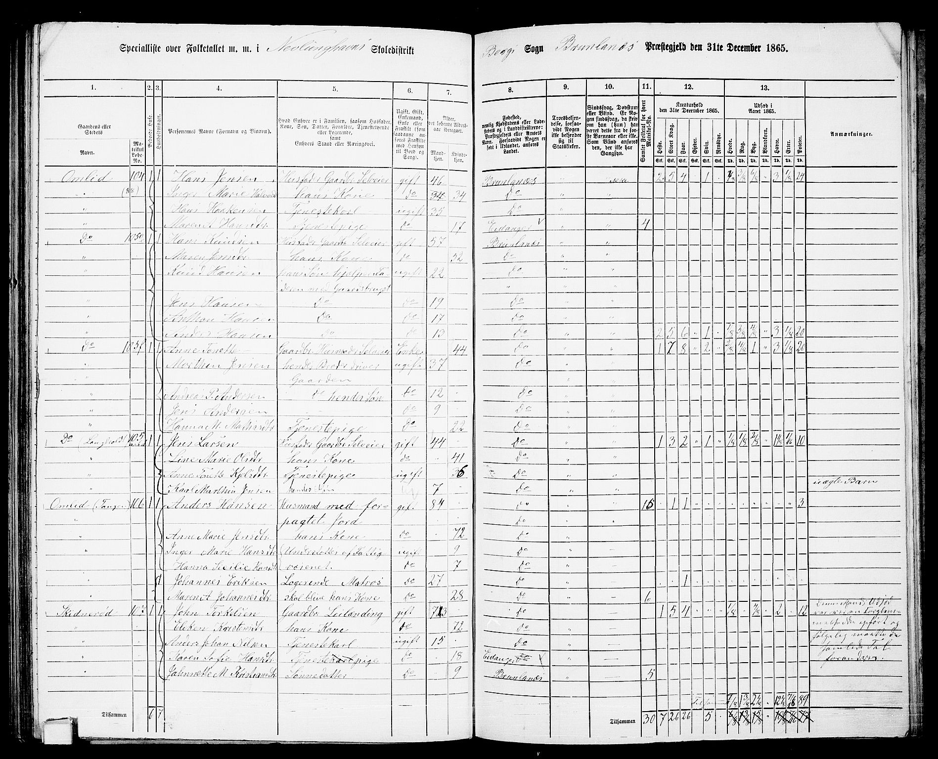 RA, 1865 census for Brunlanes, 1865, p. 140