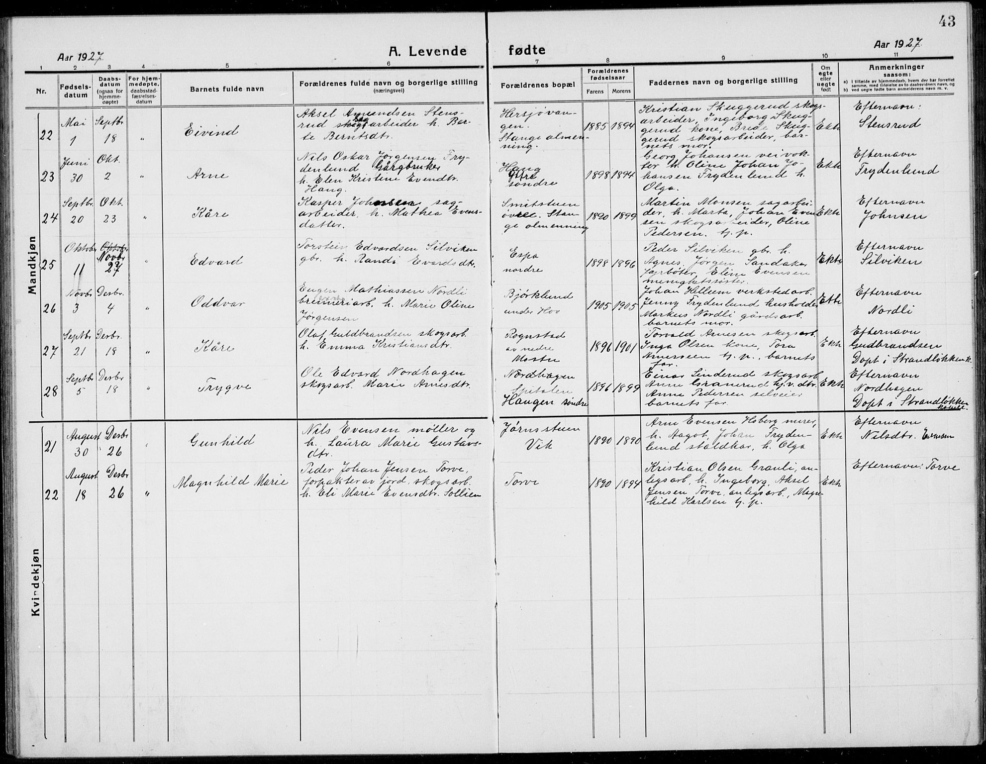 Stange prestekontor, AV/SAH-PREST-002/L/L0017: Parish register (copy) no. 17, 1918-1936, p. 43