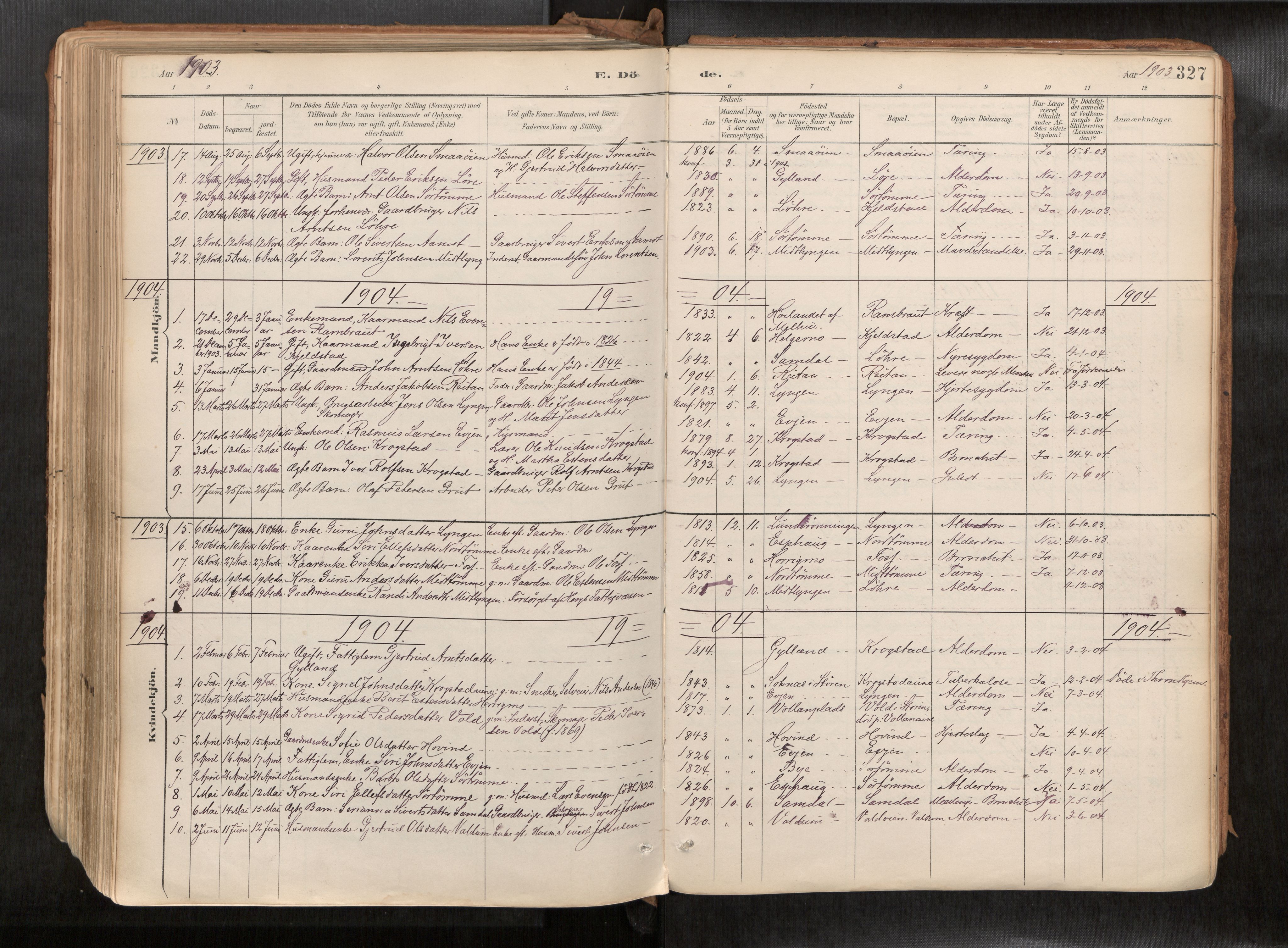 Ministerialprotokoller, klokkerbøker og fødselsregistre - Sør-Trøndelag, SAT/A-1456/692/L1105b: Parish register (official) no. 692A06, 1891-1934, p. 327