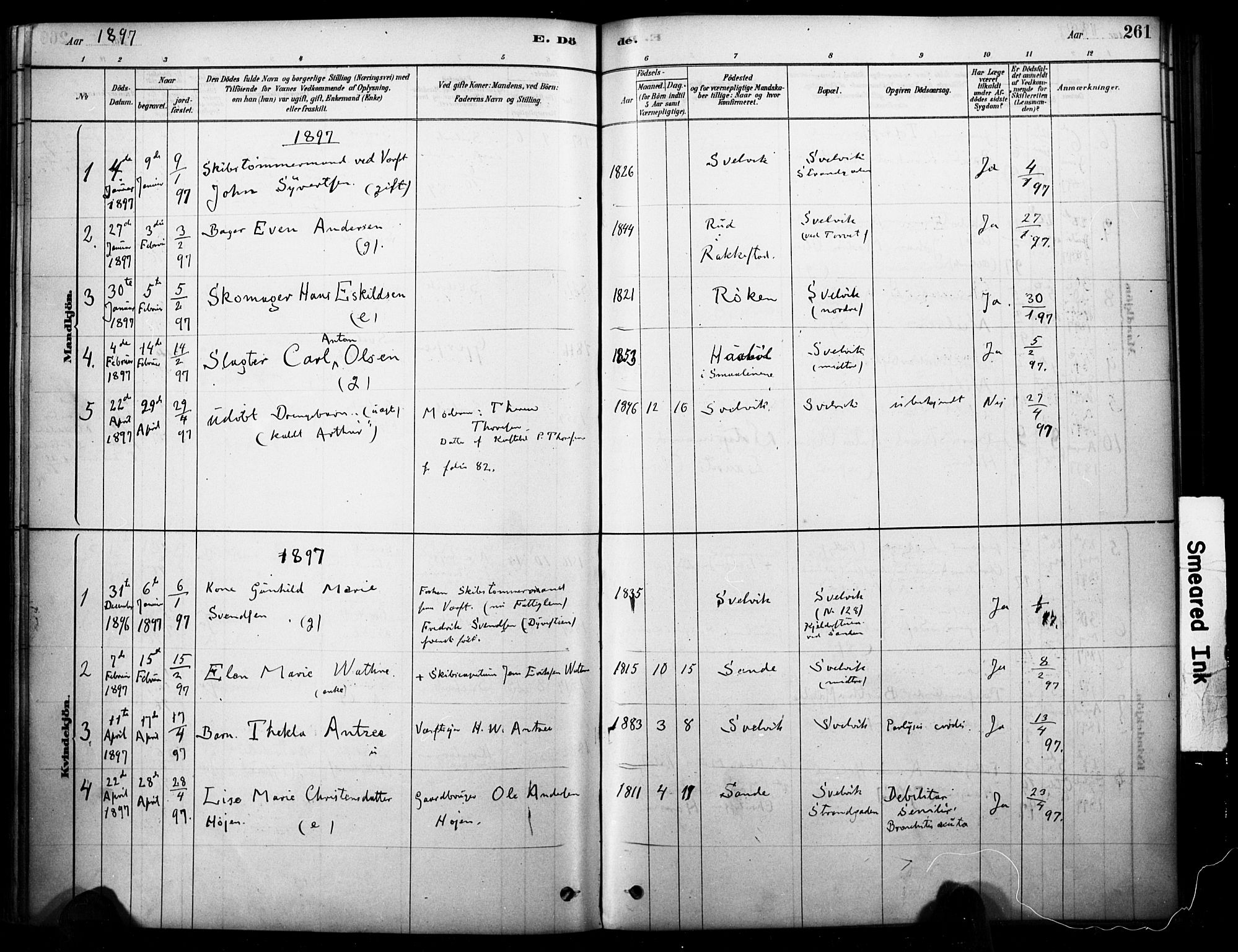 Strømm kirkebøker, SAKO/A-322/F/Fb/L0001: Parish register (official) no. II 1, 1878-1899, p. 261