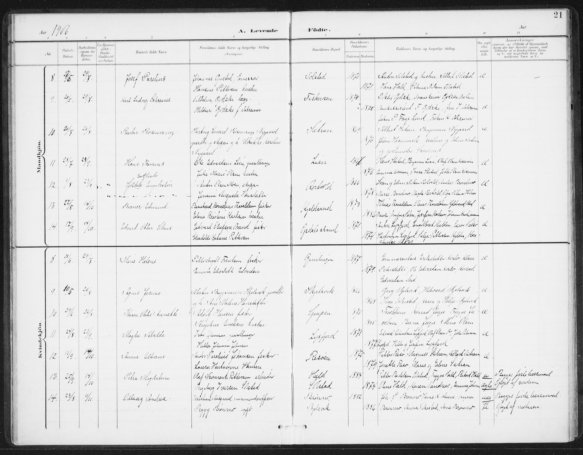 Ministerialprotokoller, klokkerbøker og fødselsregistre - Nordland, AV/SAT-A-1459/811/L0167: Parish register (official) no. 811A04, 1899-1913, p. 21