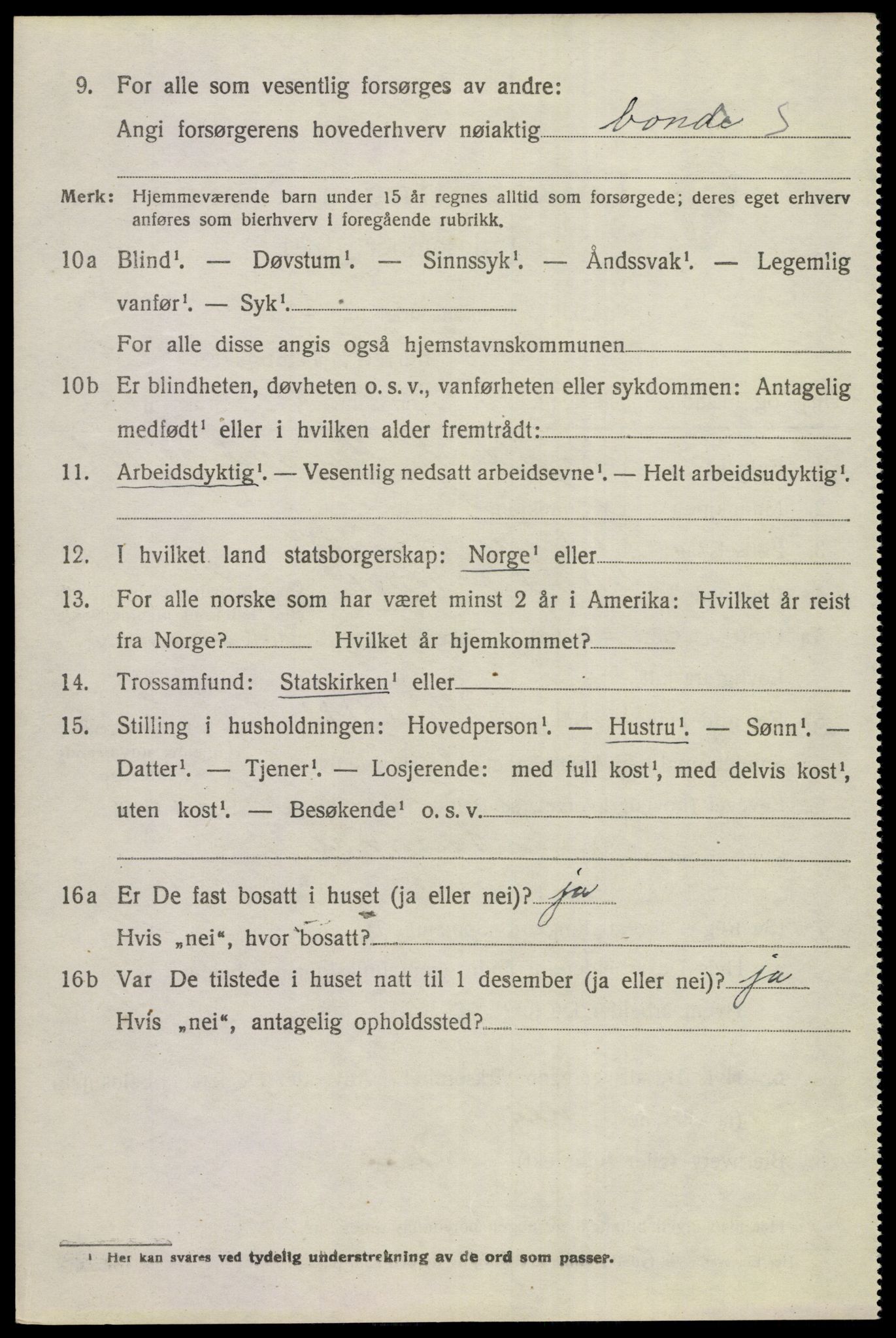 SAKO, 1920 census for Hol (Buskerud), 1920, p. 5298