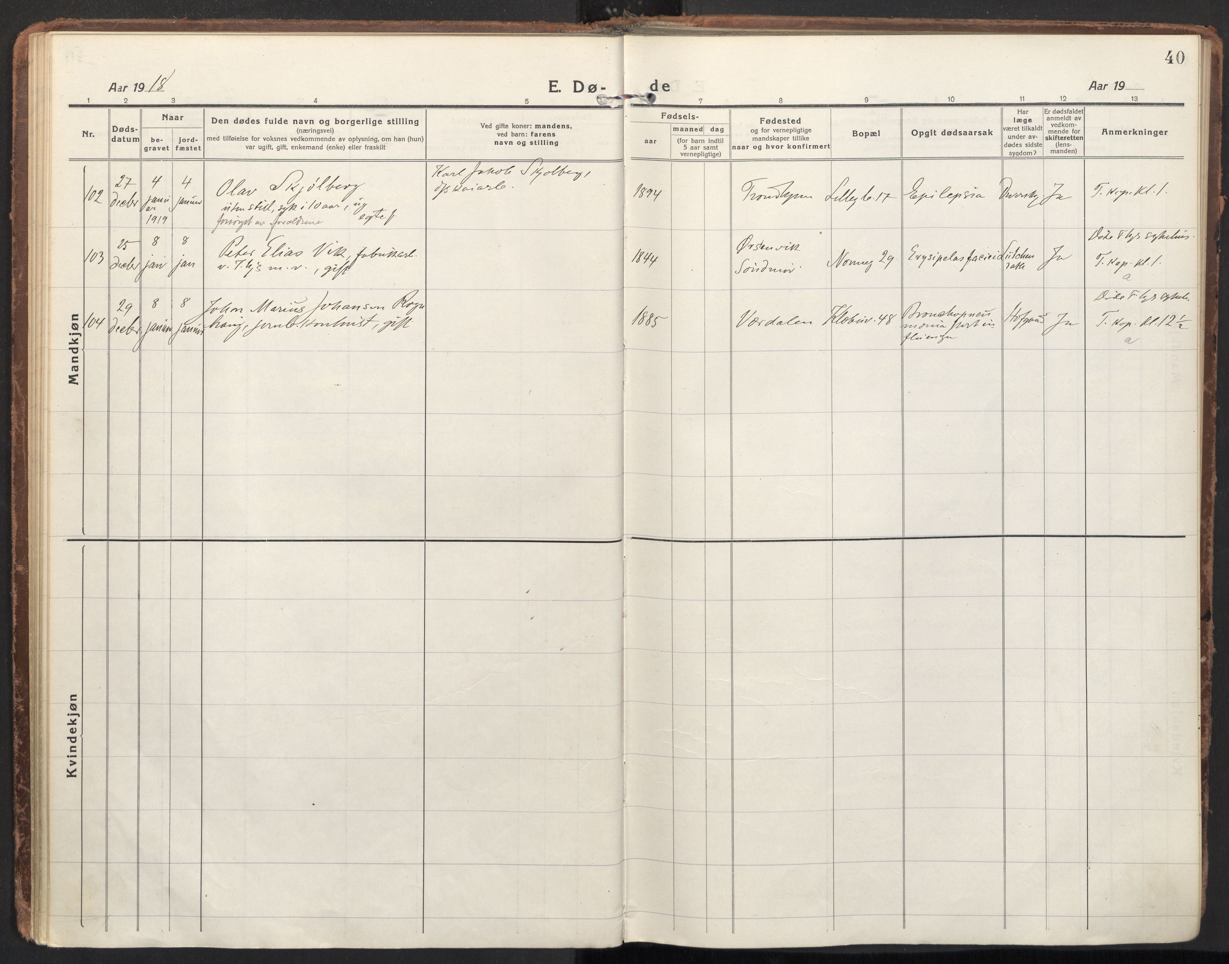 Ministerialprotokoller, klokkerbøker og fødselsregistre - Sør-Trøndelag, SAT/A-1456/604/L0207: Parish register (official) no. 604A27, 1917-1933, p. 40