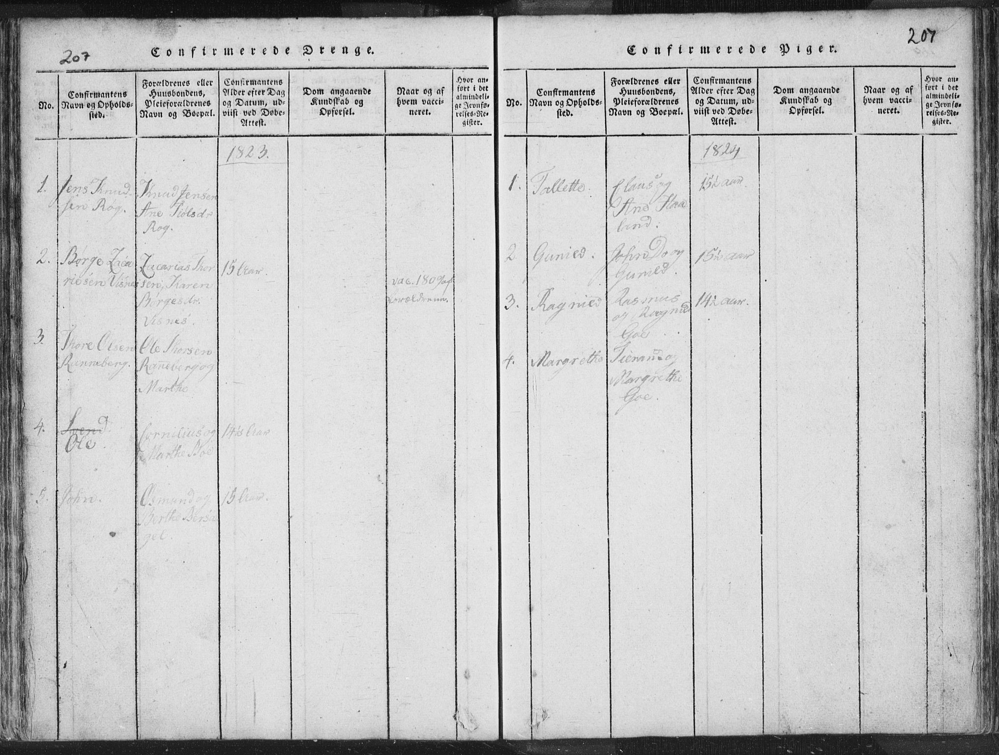 Hetland sokneprestkontor, SAST/A-101826/30/30BA/L0001: Parish register (official) no. A 1, 1816-1856, p. 207
