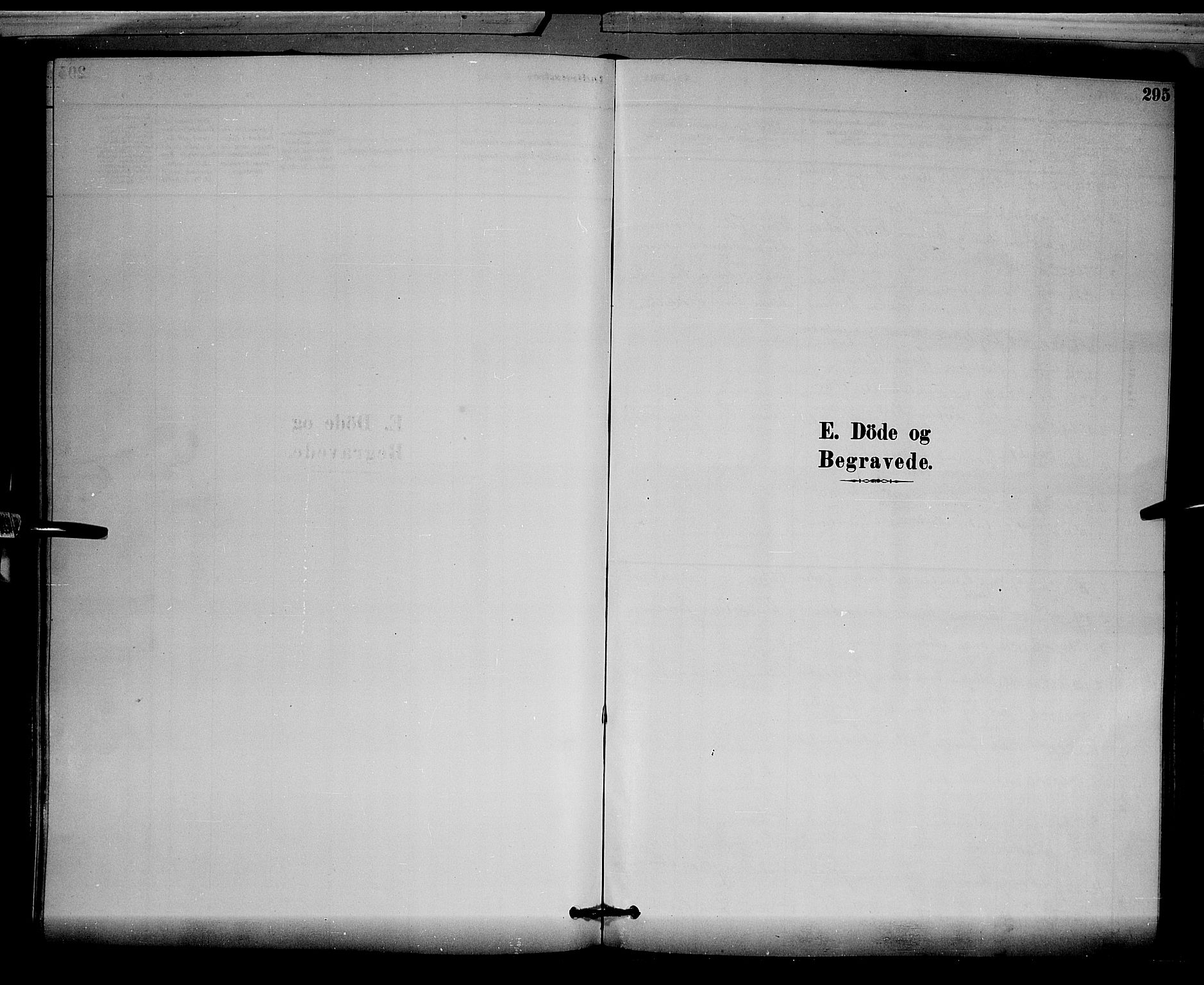 Løten prestekontor, SAH/PREST-022/L/La/L0005: Parish register (copy) no. 5, 1878-1891, p. 295