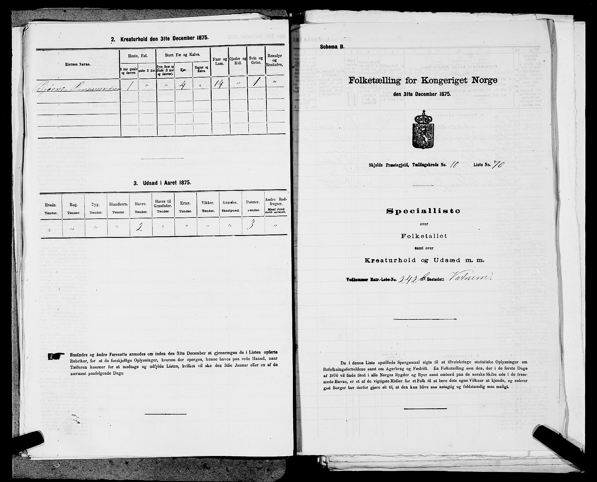 SAST, 1875 census for 1154P Skjold, 1875, p. 1100