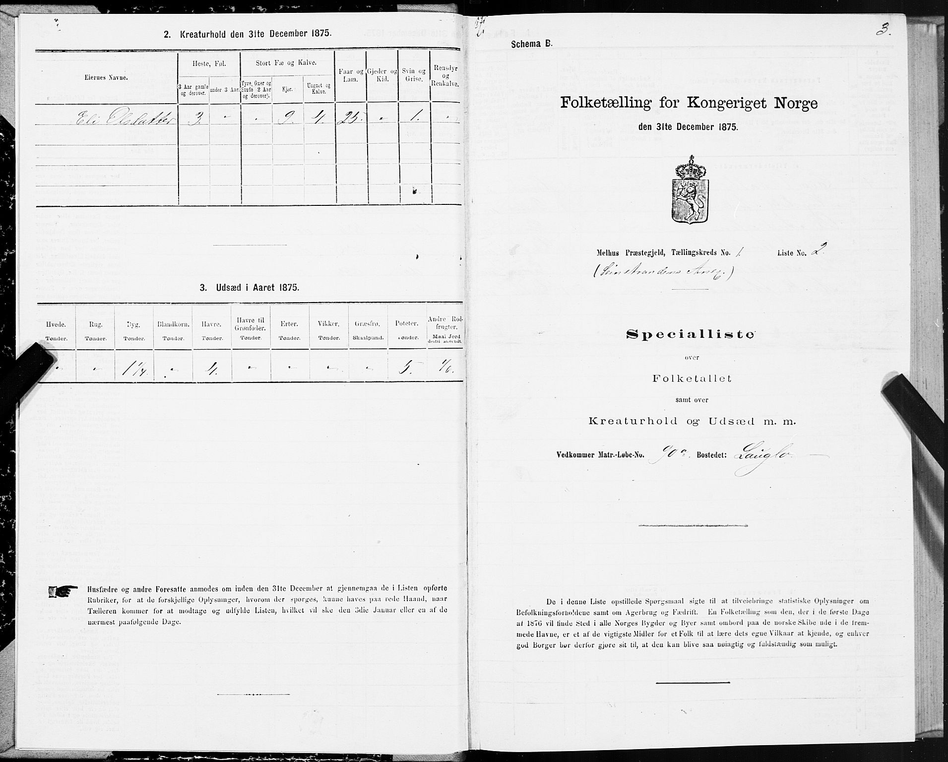 SAT, 1875 census for 1653P Melhus, 1875, p. 8003